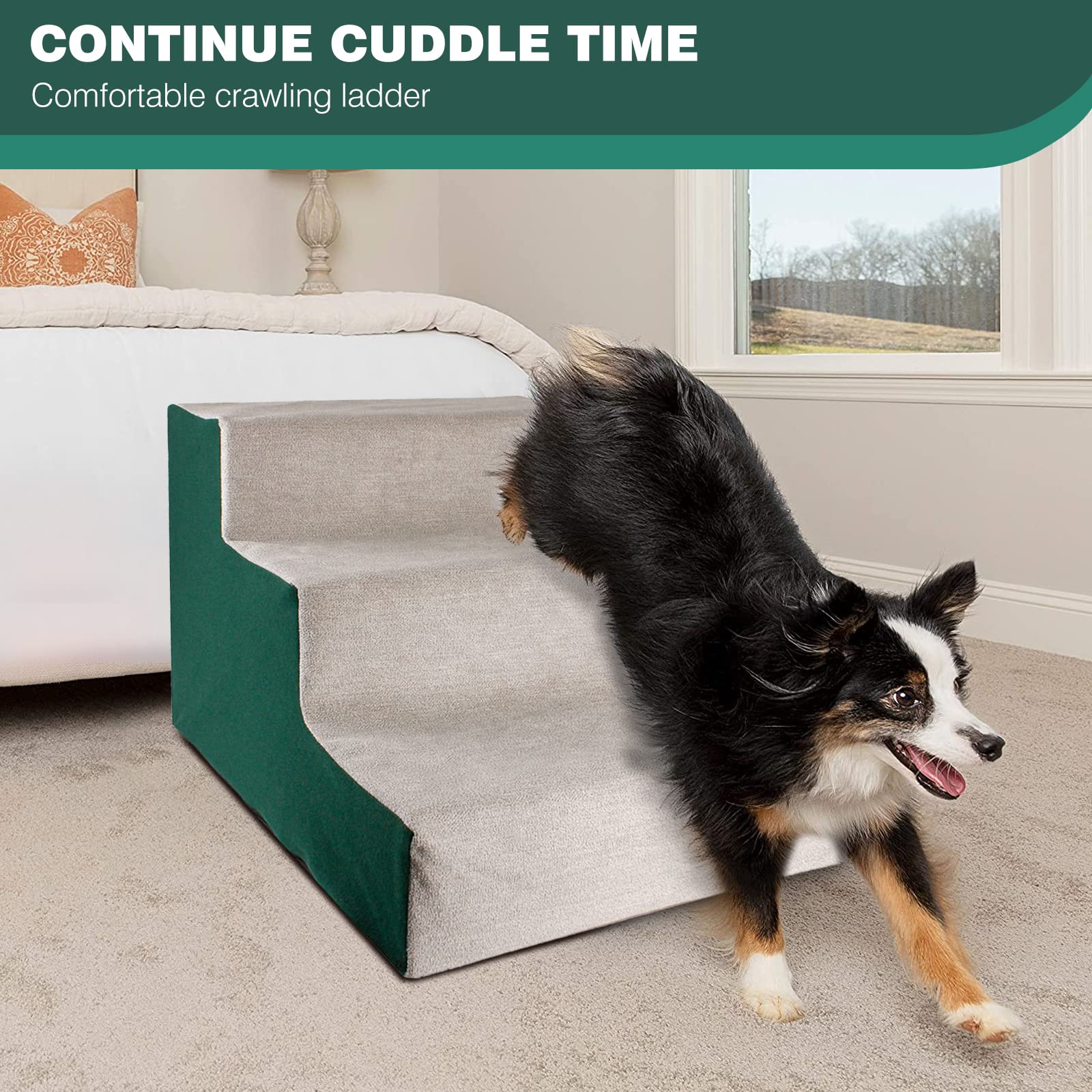 PETCUTE Scaletta per Cani e Gatti,Scala per Animali Scala per Gatti,antiscivolo,Rampe per Cani,3 Gradini Scale per Animali Domestici con Rivestimento in Peluche Lavabile,Fino a 20lb Verde