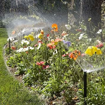 Hunter Pro-Spray 6 in. Pop-Up Lawn Sprinkler Head Body, No Nozzle | 6 in. sprinkler body with flush cap; fits female-thread nozzles, nozzle sold separately (PROS06)