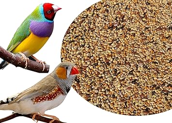 COLOURFUL - Natural & Healthy Premium Birds Food for Sparrow,Silver Bill, Finches & Java | Daily Birds Food Seed Mix (900g)