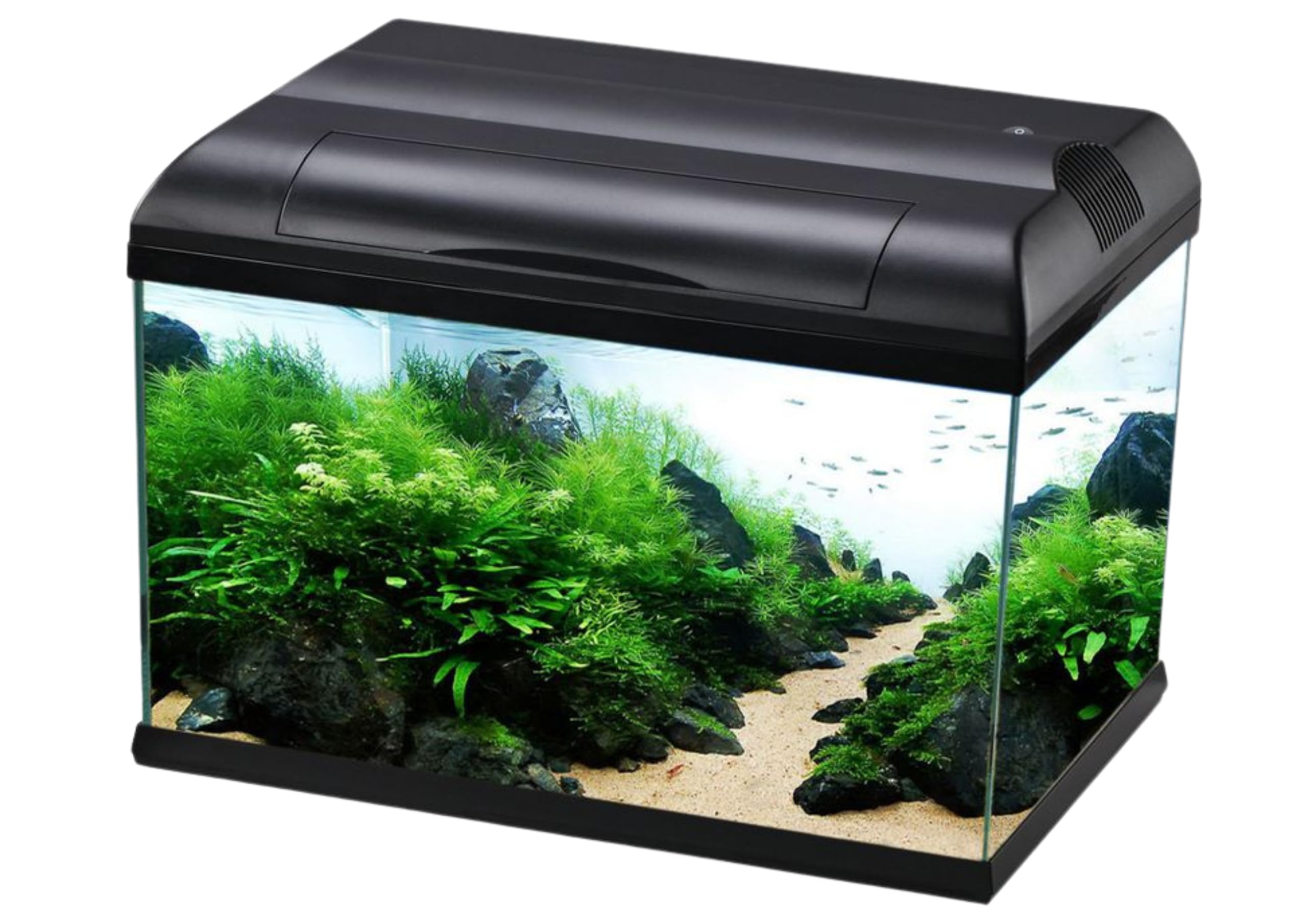Love Aquatics Style 47 Aquarium Set, 47 cm, LED Lighting, Internal Pump, Filtration