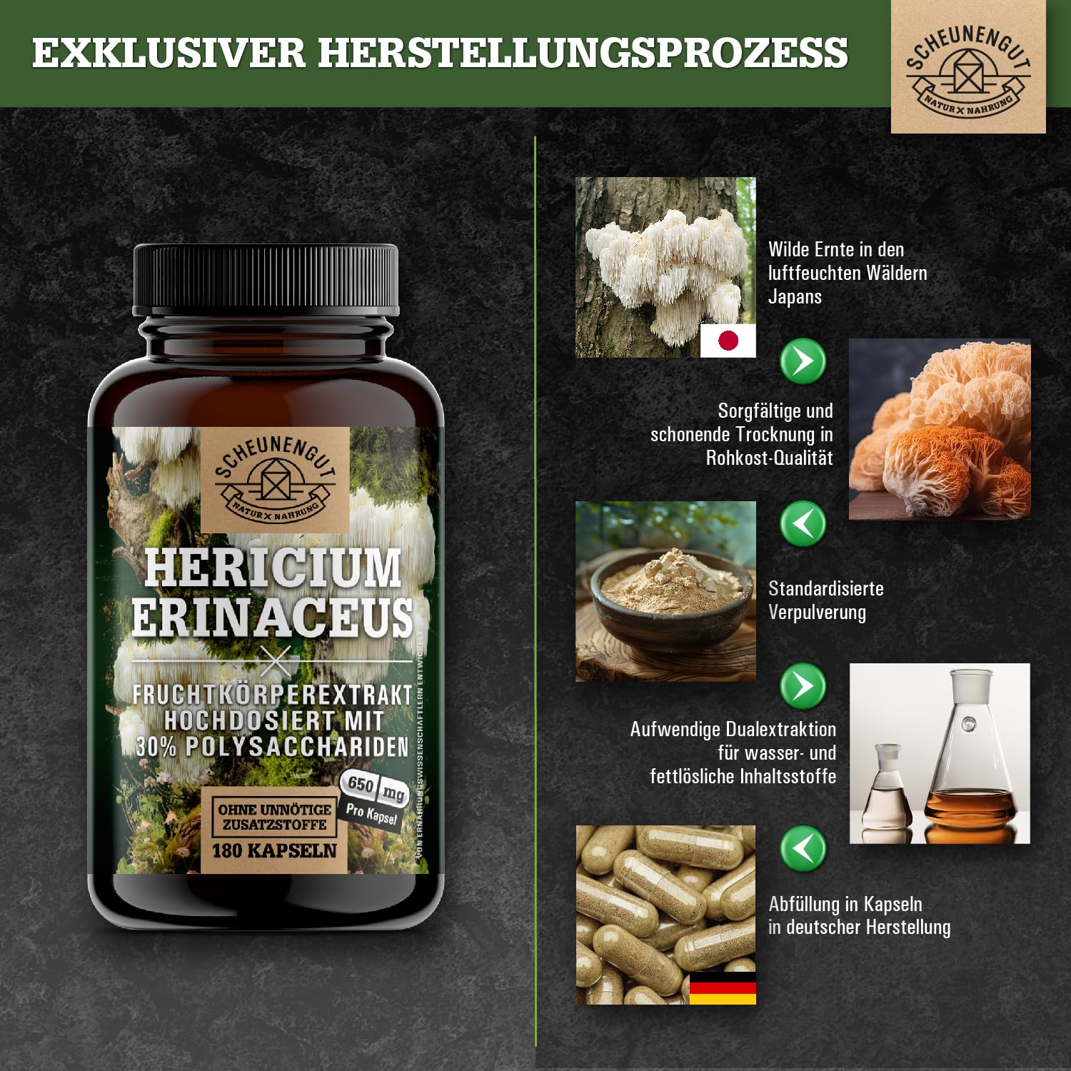 Lions Mane 1950mg -WICHTIG: 30:1 Extrakt (=58500mg Hericium Erinaceus pro Tagesdosis) +30% Polysaccharide +5% Beta Glucan -Lions Mane Kapseln- Vegan + Laborgeprüft DE SCHEUNENGUT®