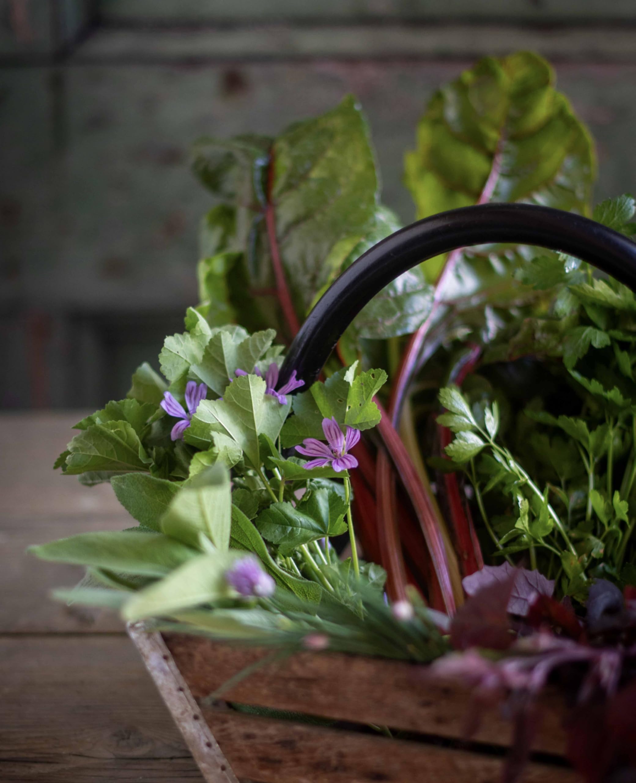 Fabuleux légumes: 80 recettes de mon jardin