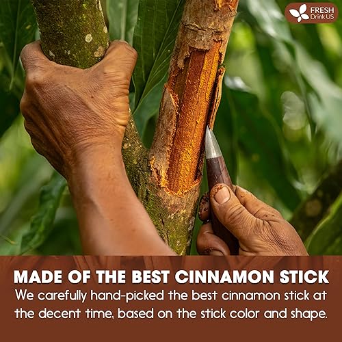 Vista 113 de FreshDrinkUS, 105 bolsas de té de hoja de laurel premium, 100% natural y puro de hojas de laurel. Té de hierbas de laurel de hojas sueltas.