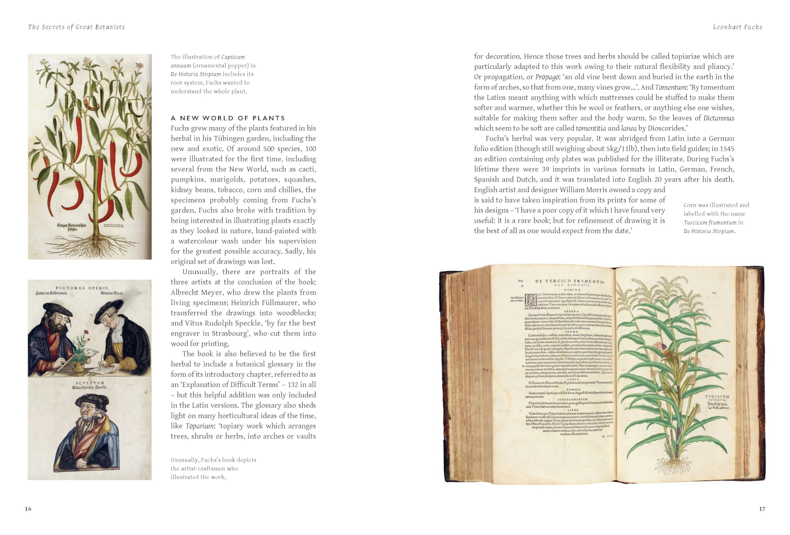 The Secrets of Great Botanists: What They Teach Us about Gardening