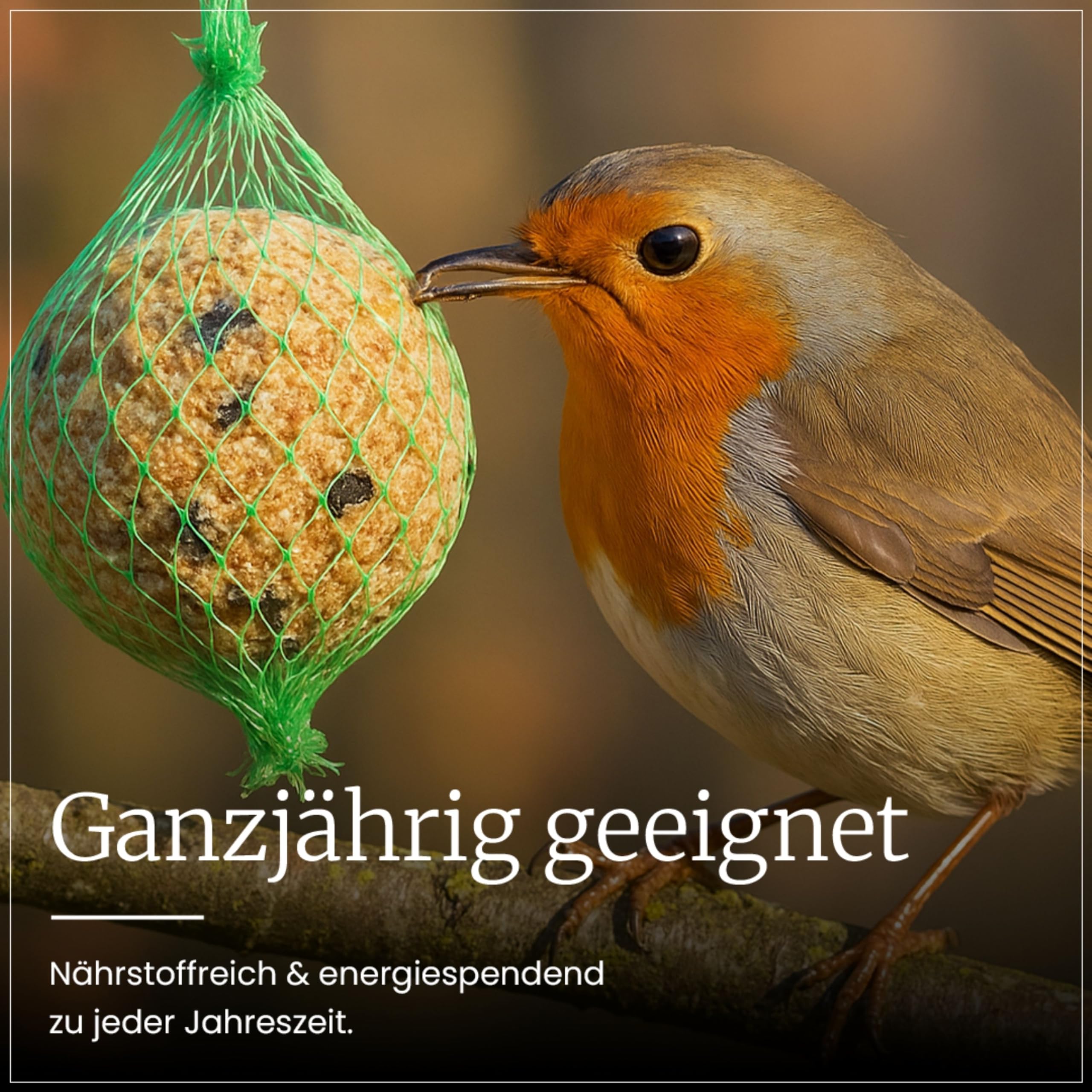 Erdtmanns 50 Meisenknödel mit Netz im Eimer 4,25 kg – Vogelfutter mit Getreideflocken & Sonnenblumenkernen – Ganzjahresfutter für Wildvögel – für Garten, Balkon & Bäume