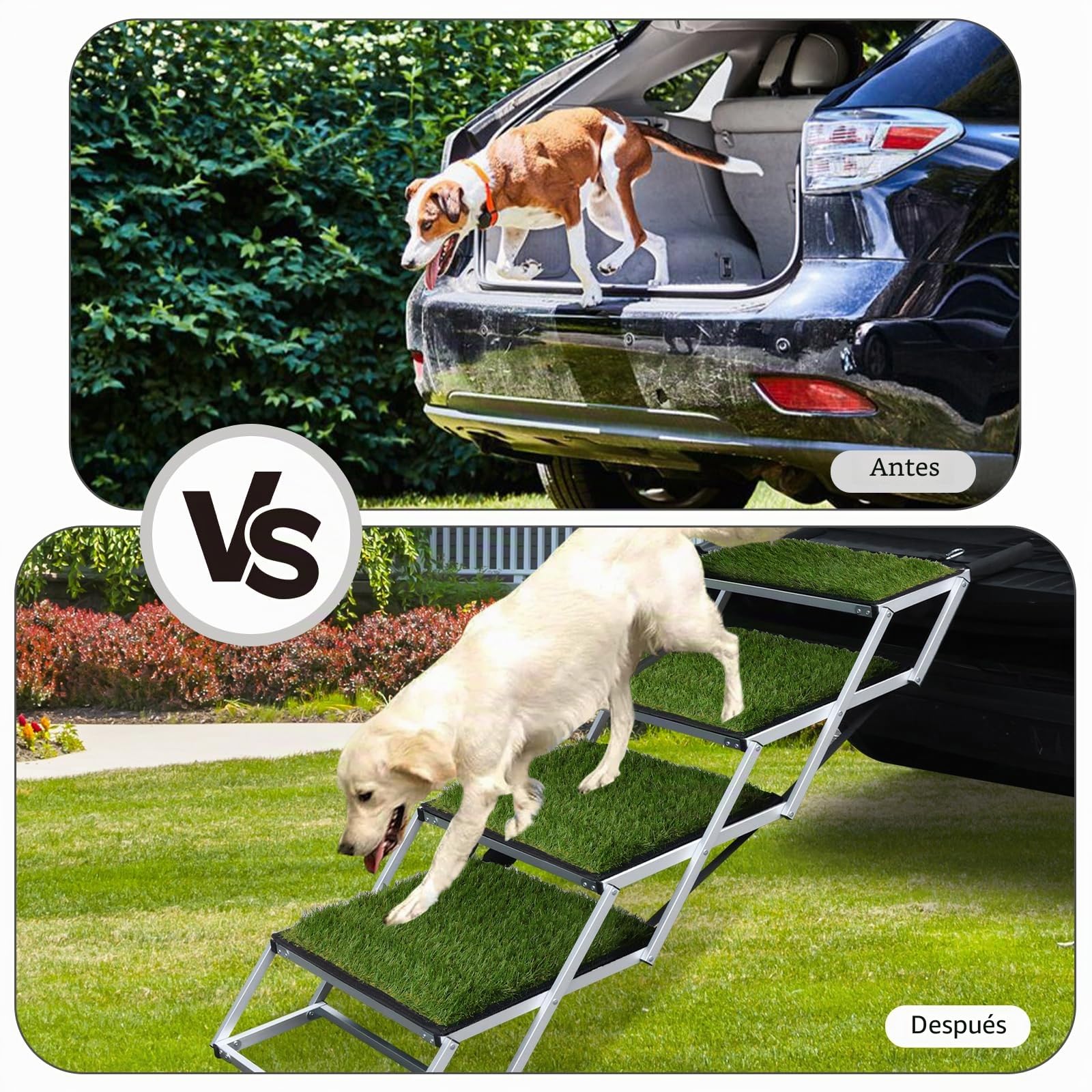 Escalera para perros para coche, rampa para perros, plegable, superficie antideslizante de césped artificial, ayuda para el acceso a todos los vehículos, altura ajustable, soporta hasta 80 kg