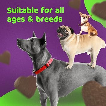 PROBIOTIC CHEWS - dog probiotics for gut health - digestive enzymes for dogs - Improve digestion, reduce diarrhea, itching and discomfort and eliminate foul odours. 120 Chews per tub