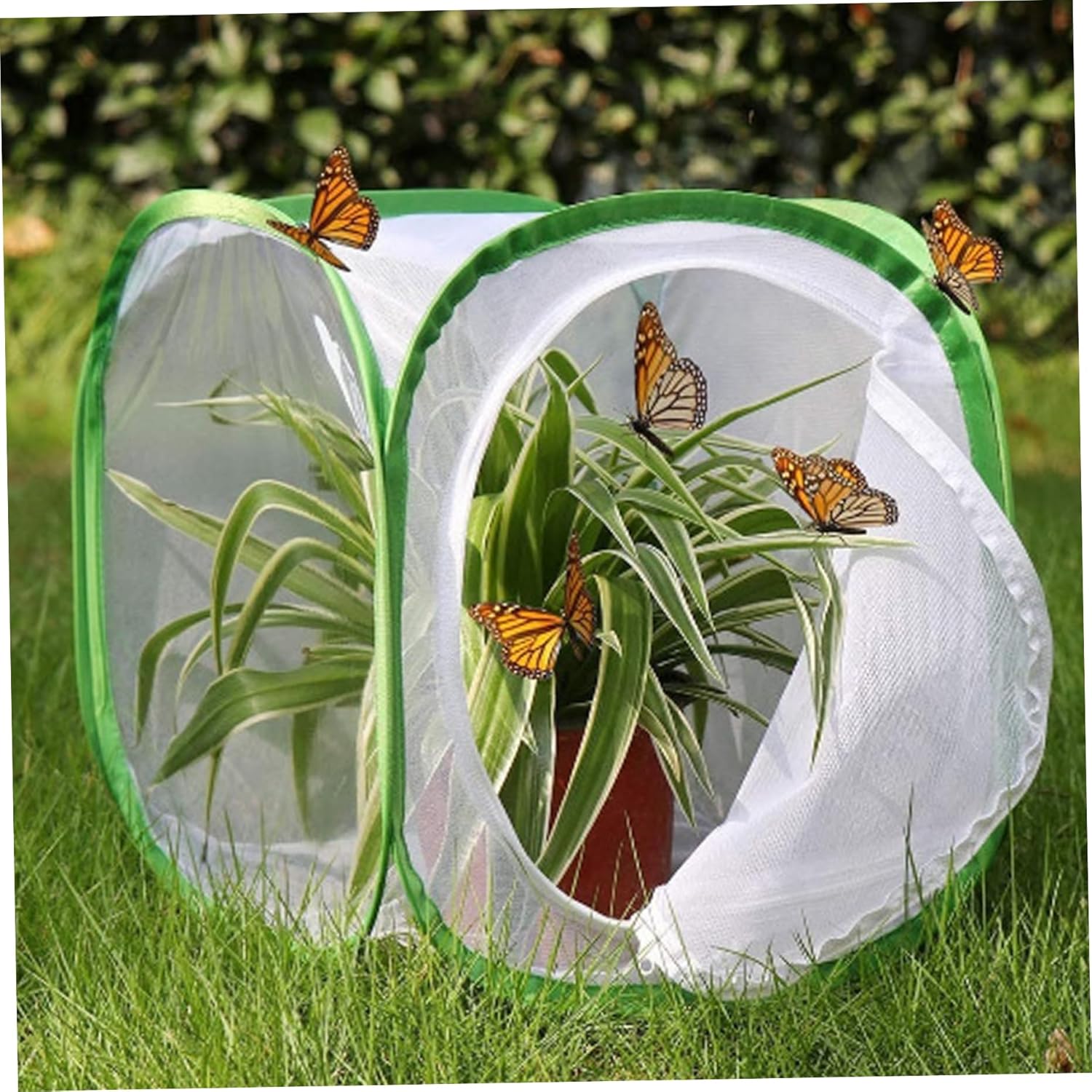 Butterfly Cage 2Pcs Butterfly Habitat Cage 12x12x12'' Foldable House Garden Pop-up Mesh Tent Net Caterpillars for Kit for Kids Raising