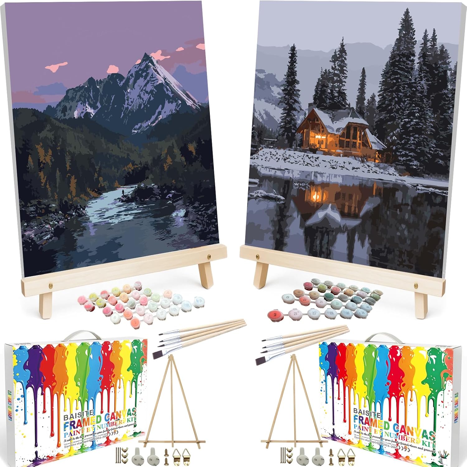 BAISITE Paint by Numbers Kit for Adults Beginners,20" Wx16 L Canvas for Painting Kits for Adults in Colorful Box Poppy Flowers-BSC002-Already Stretched on a Wooden Frame