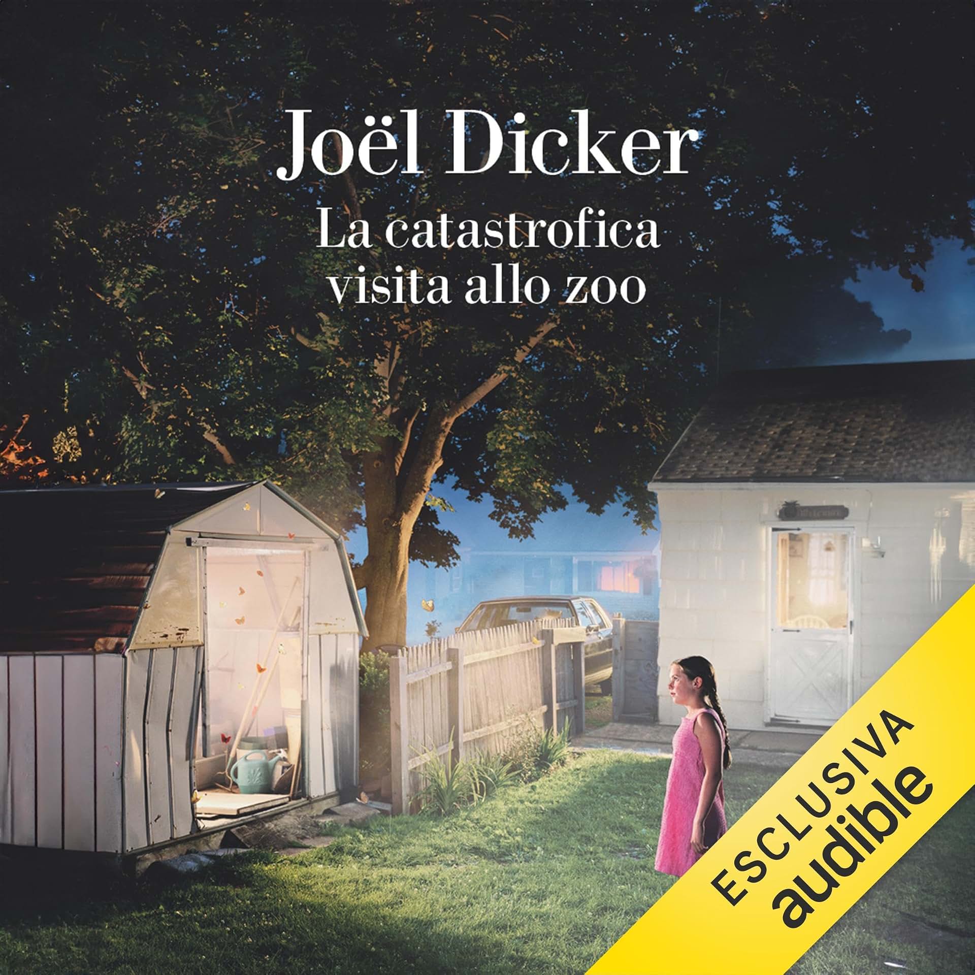 cover-image