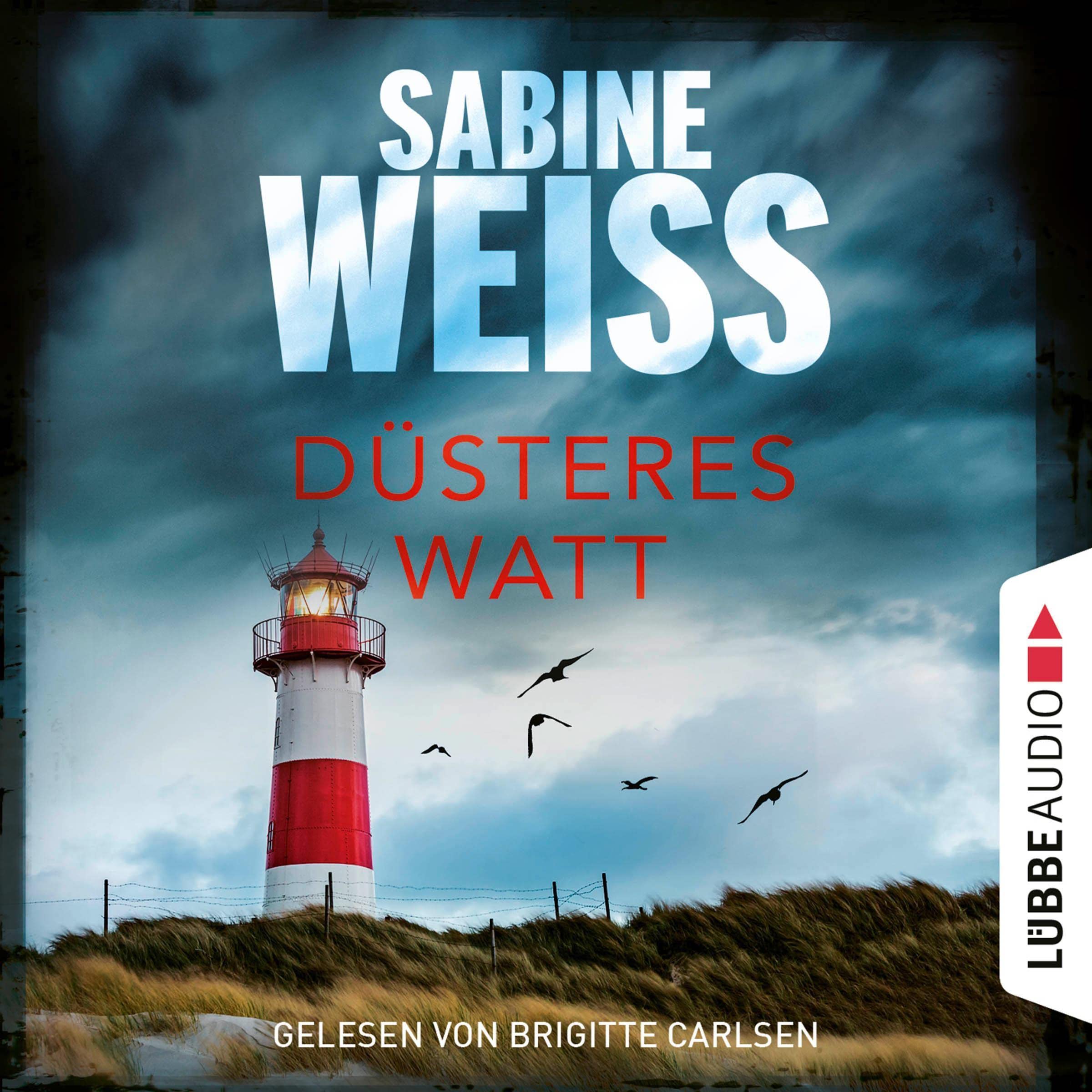 Cover art for Düsteres Watt