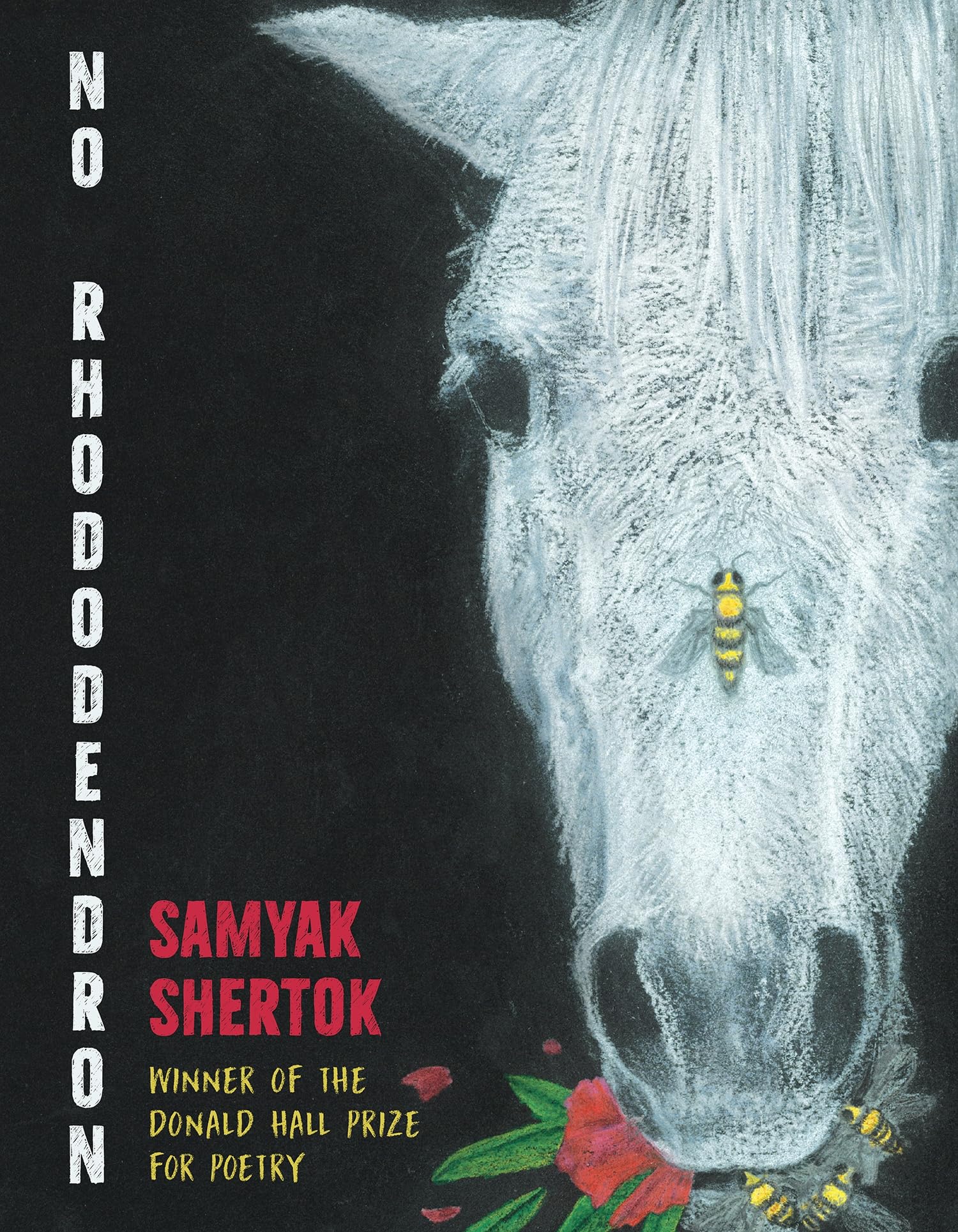No Rhododendron: Poems (Pitt Poetry)