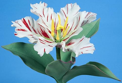 Miniatura 7 de Flores de primavera en azúcar (volumen II) con Scott Clark Woolley (formato DVD NTSC)