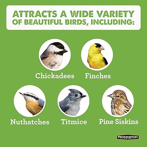 Miniatura 6 de Comedero para pájaros de cedro