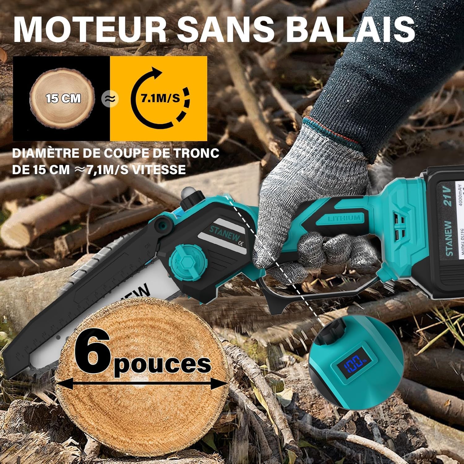 STANEW 2-en-1 Élagueuse sur perche, mini tronçonneuse à batterie sans balais 6 pouces, tronçonneuse avec 2 batteries 4000mAh, 600W, hauteur de travail max 4,55 m, écran LCD