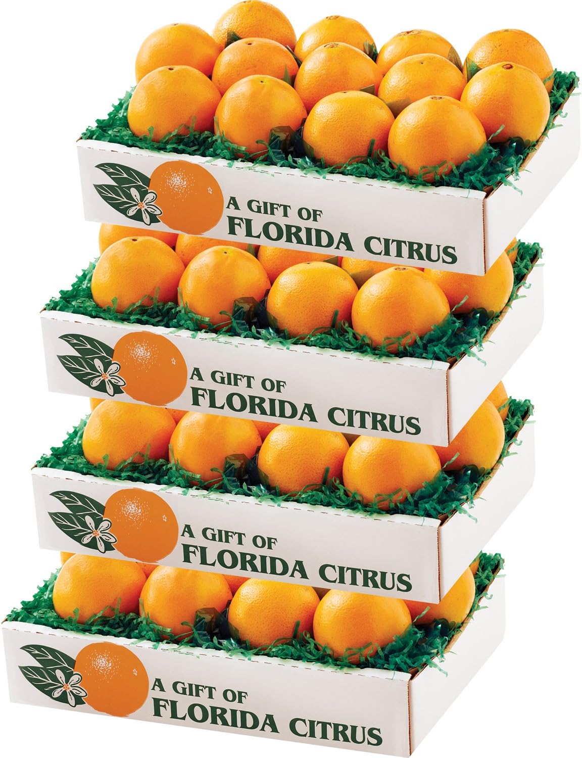 Navel Oranges - 4 trays