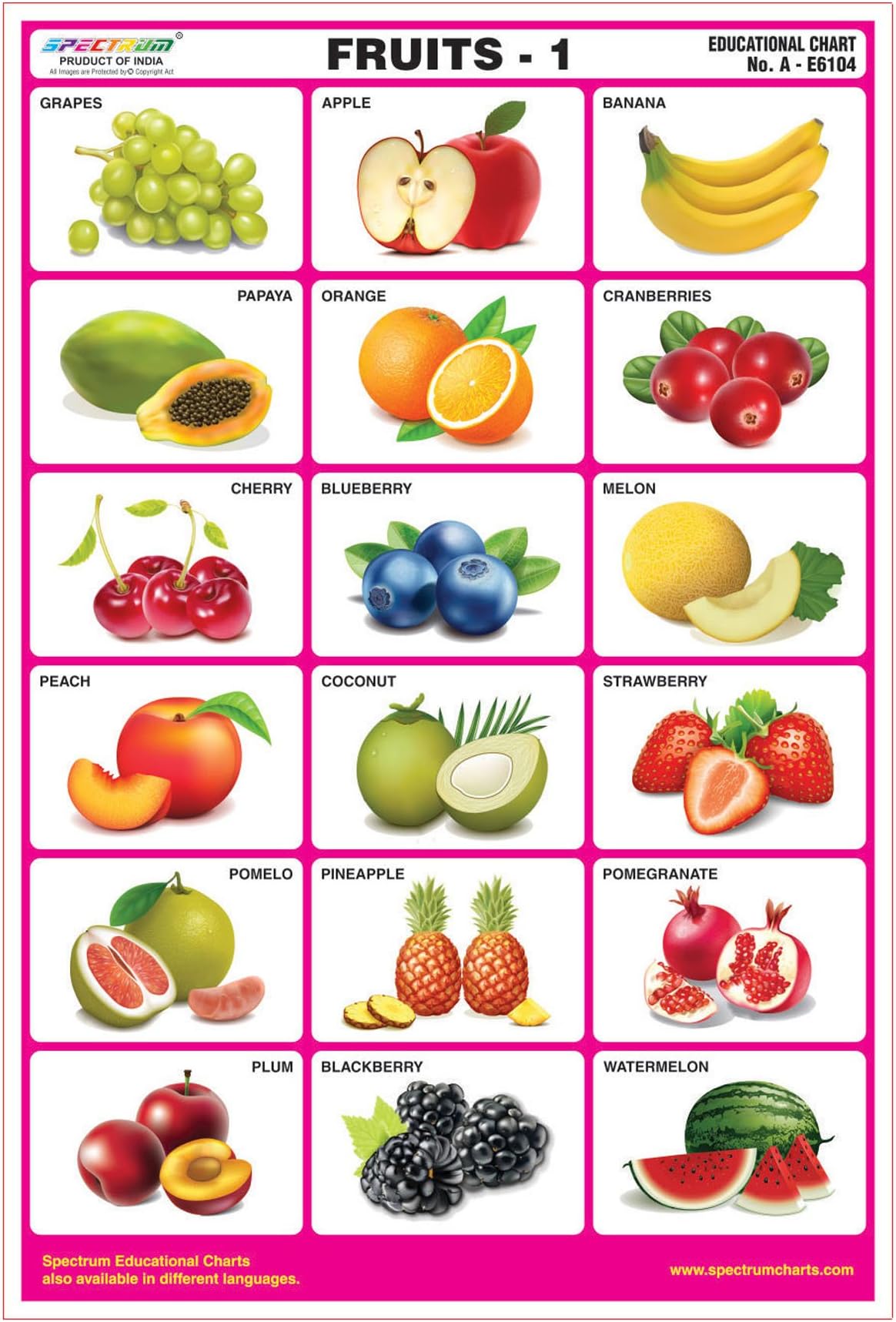 Spectrum Fruits-1 Pre-Primary Kids Learning Educational Laminated Wall Chart