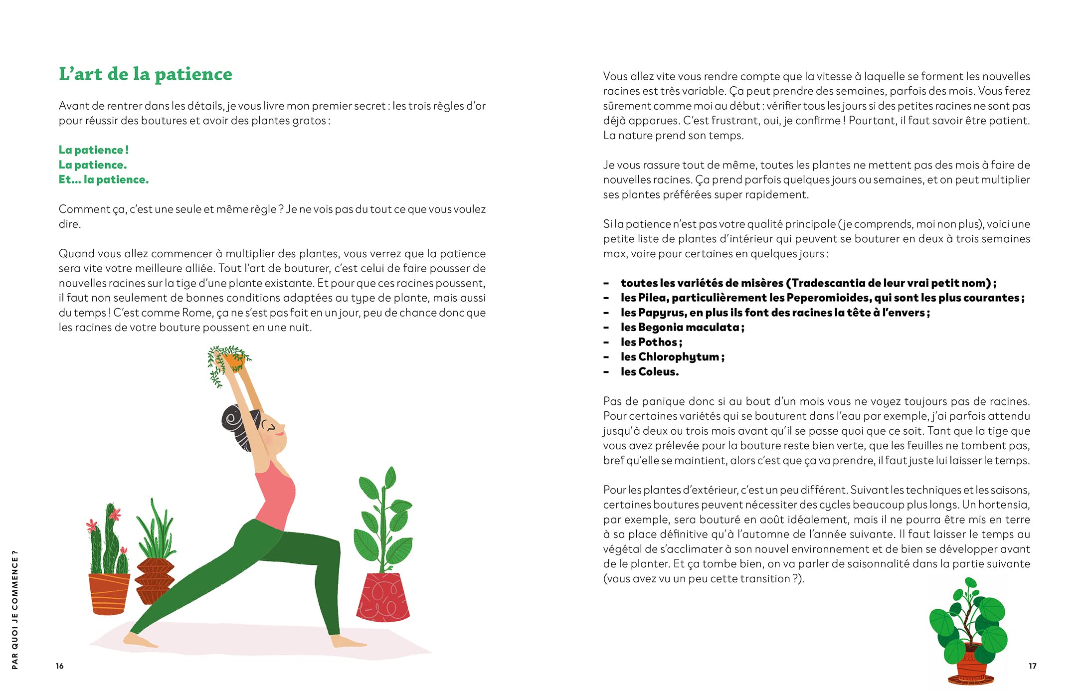 Faire pousser ses plantes gratos: Apprends à transformer un petit bout de tige en méga plante