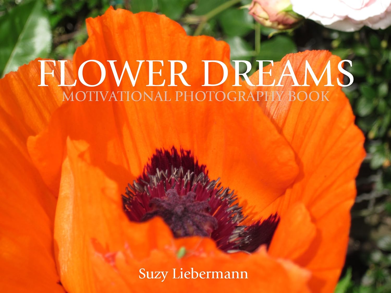 FLOWER DREAMS (MOTIVATIONAL PHOTOGRAPHY BOOKS Book 3) eBook