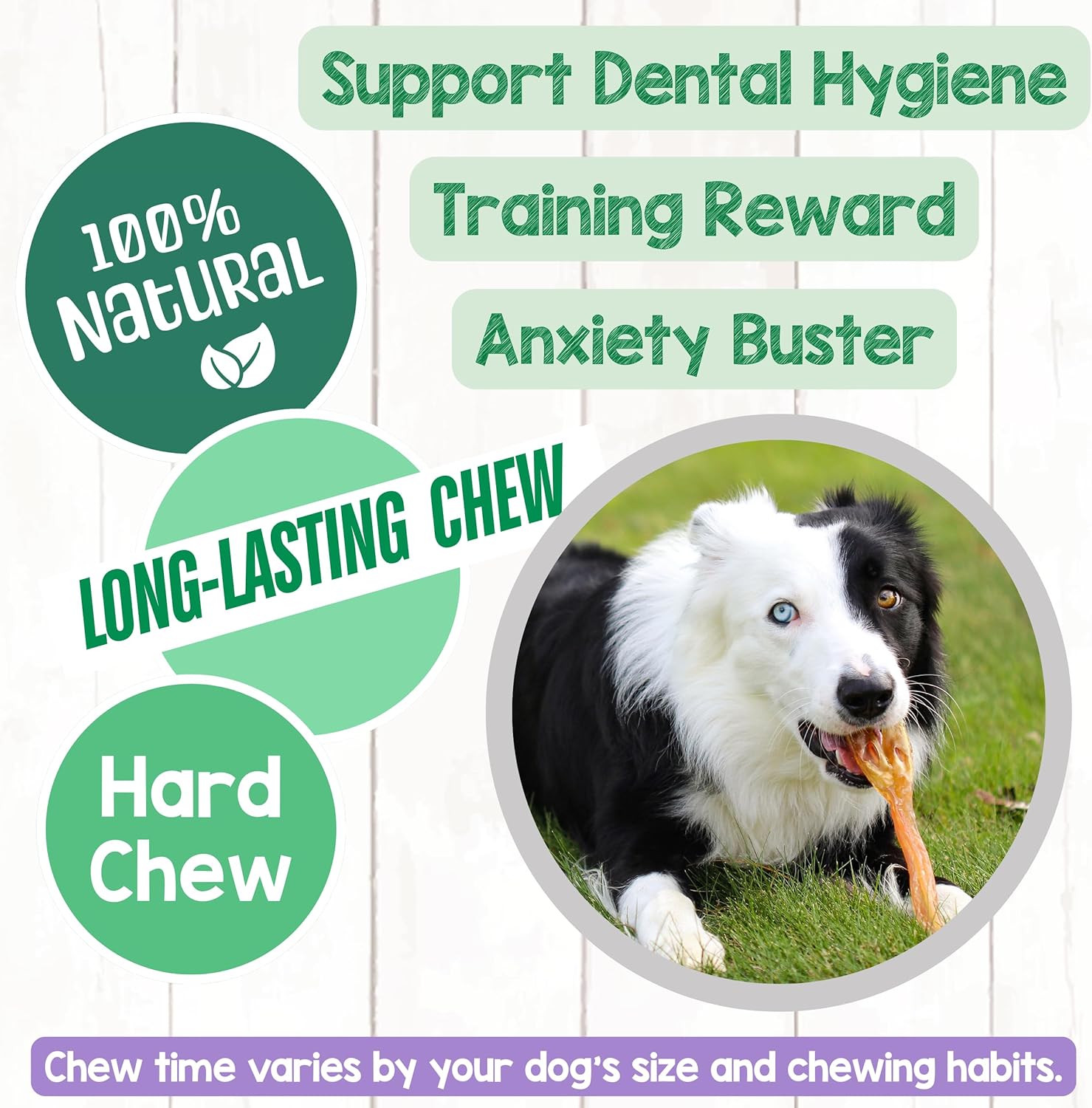 Nature Gnaws Beef Tendons for Dogs (1Lb) - Mixed Thickness - Long Lasting for Small and Medium Dogs - Natural Beef Jerky Dog Chew Bones - Rawhide Free