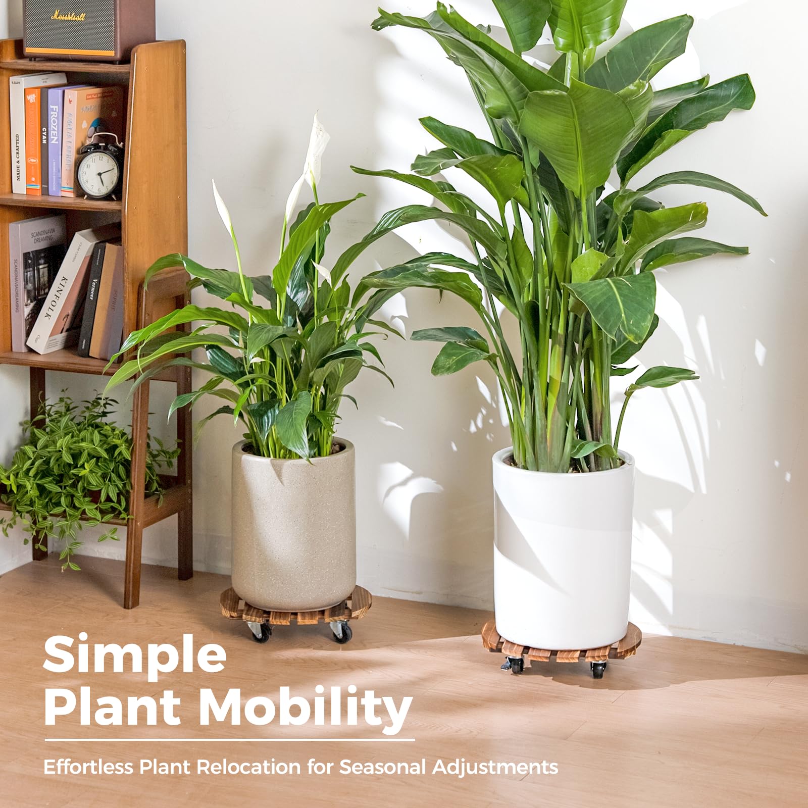 Amazon.com: Bamworld Plant Stand Outdoor Rolling Tray Plant Caddy with  Wheels 12in Plant Caster with Wheels Planter Caddy Flower Cart Plant Dolly  for Heavy Duty Large Plants Plant Rollers (2 Pack ) :