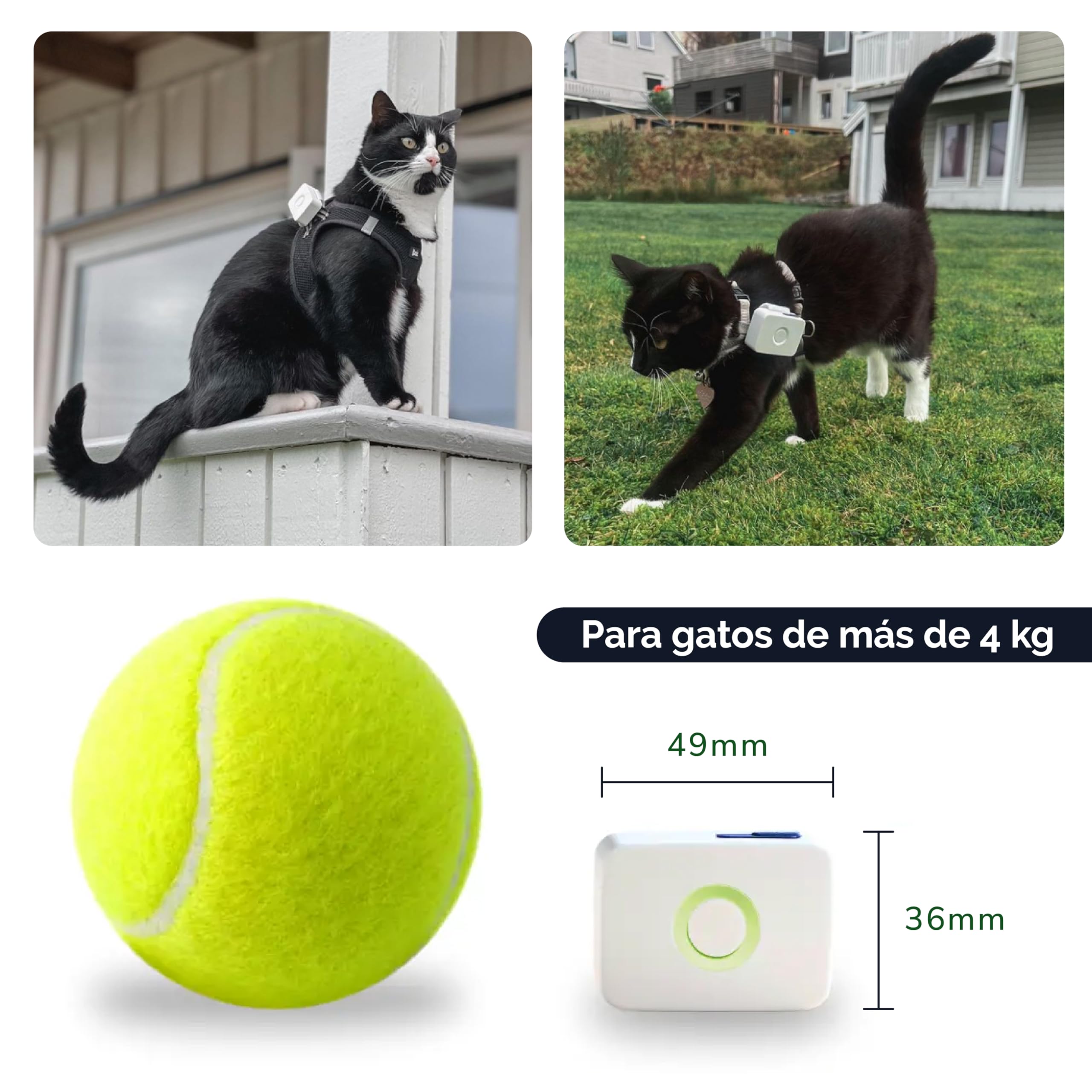 Lilcat 2 GPS y rastreador de Actividad para Gatos, Impermeable, Ligero, a Prueba de Golpes, Seguimiento GPS en Vivo e historial de ubicación, Contador de Pasos y Monitor de Actividad, Fabricado en