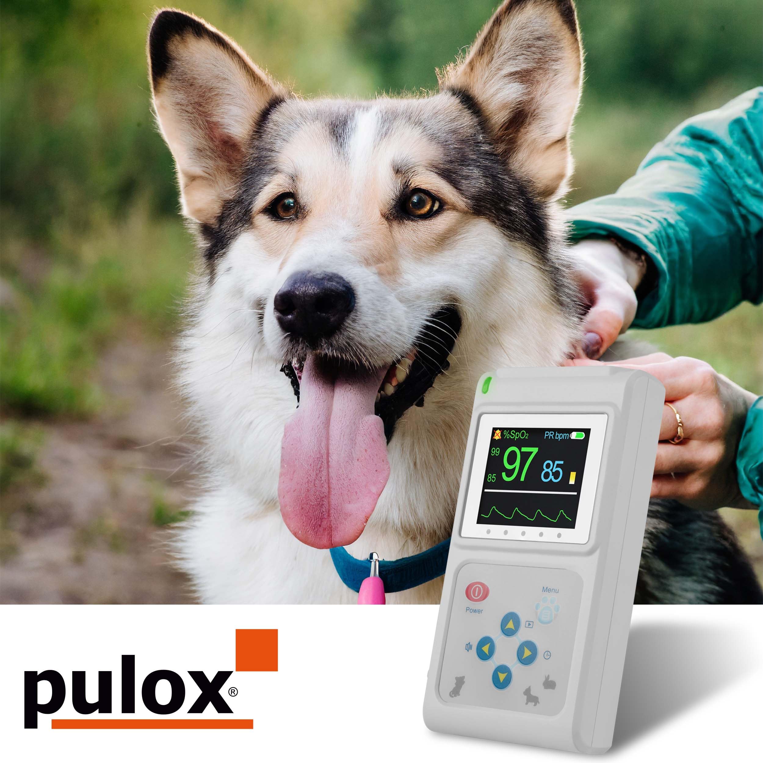 Pulox PO-600VET Veterinär Pulsoximeter für SpO2 & Puls bei Tieren | Oximeter für Tierarzt, Tierklinik und Heimanwendung, geeignet zur Kontrolle wichtiger Vitalparameter