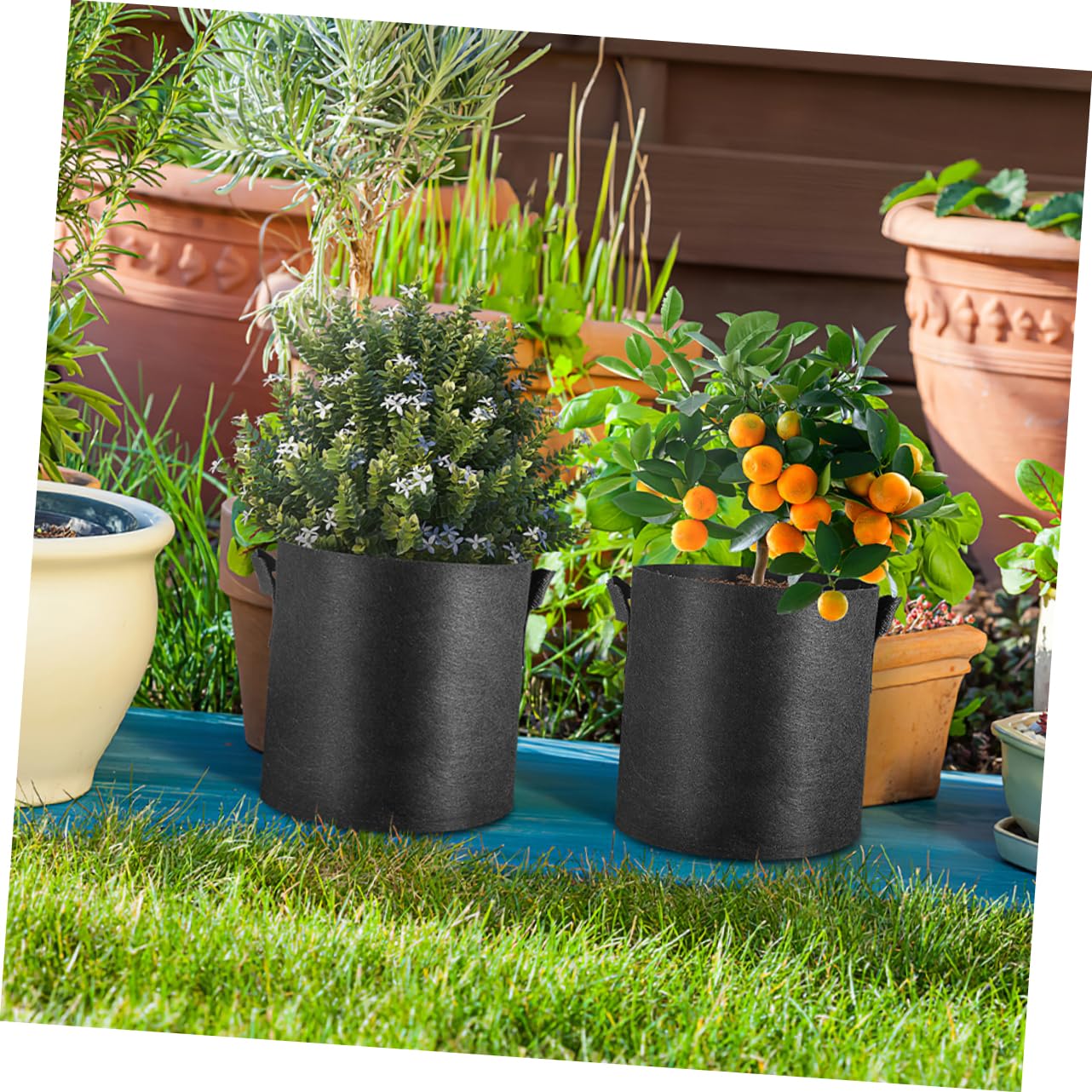 SUPVOX 16pezzi Sacchetti Per Coltivazione Non Sacchetti Per Giardinaggio Per e