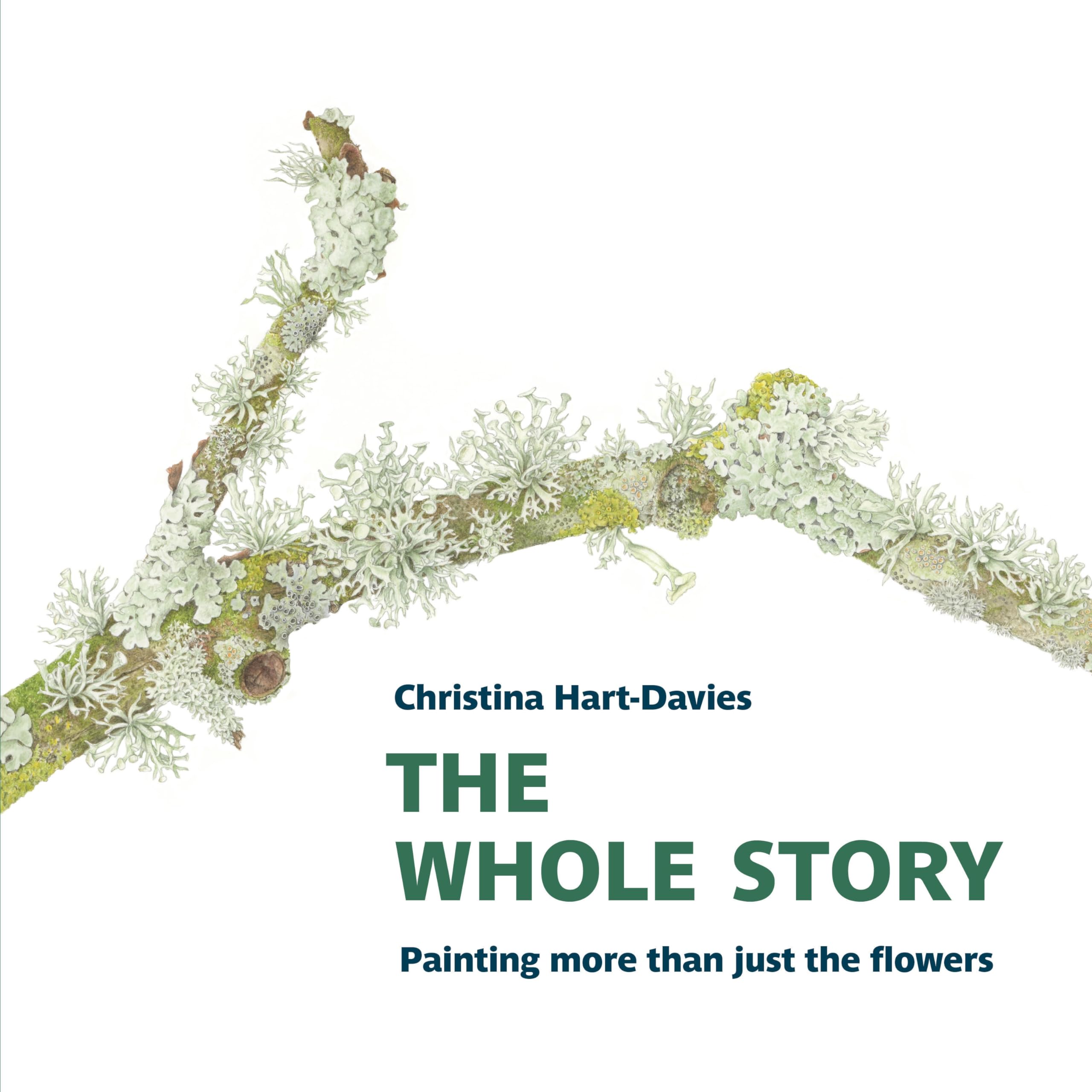 The Whole Story: Painting more than just the  by Christina Hart-Davies PAPERBACK