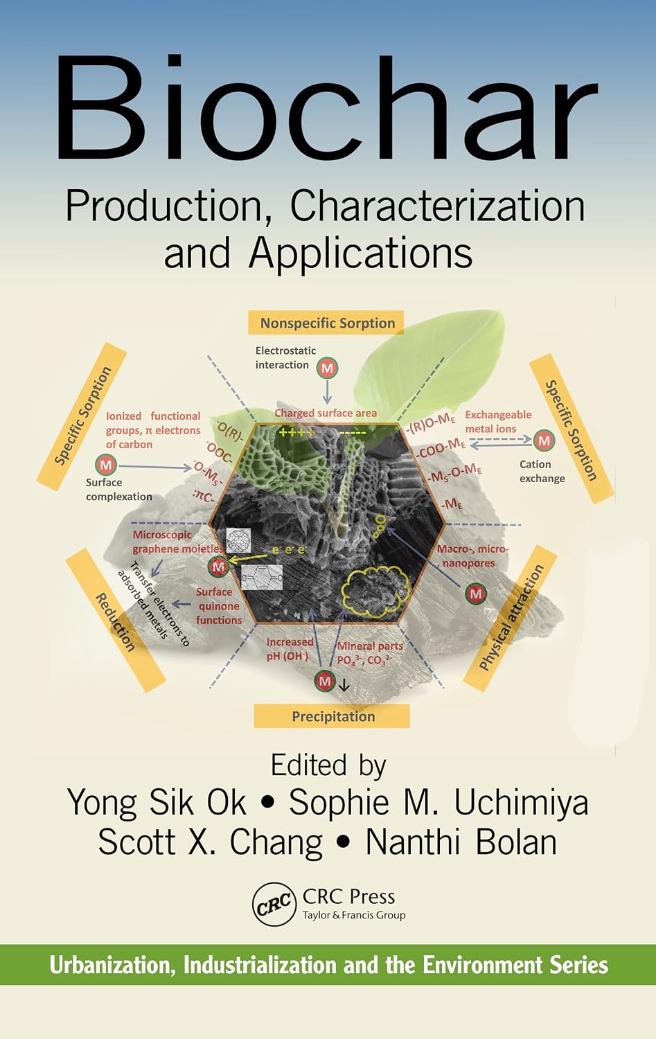 Biochar: Production, Characterization, and Applications (Urbanization, Industrialization, and the Environment)