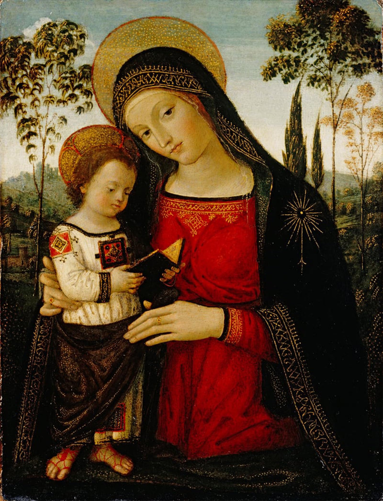 ARTXLXXBN Famous Print Painting Colorful Art Print Lady and Child by Bernardino Di Betto Pinturicchio Canvas Art Decorations for Home Decor 60x90cm