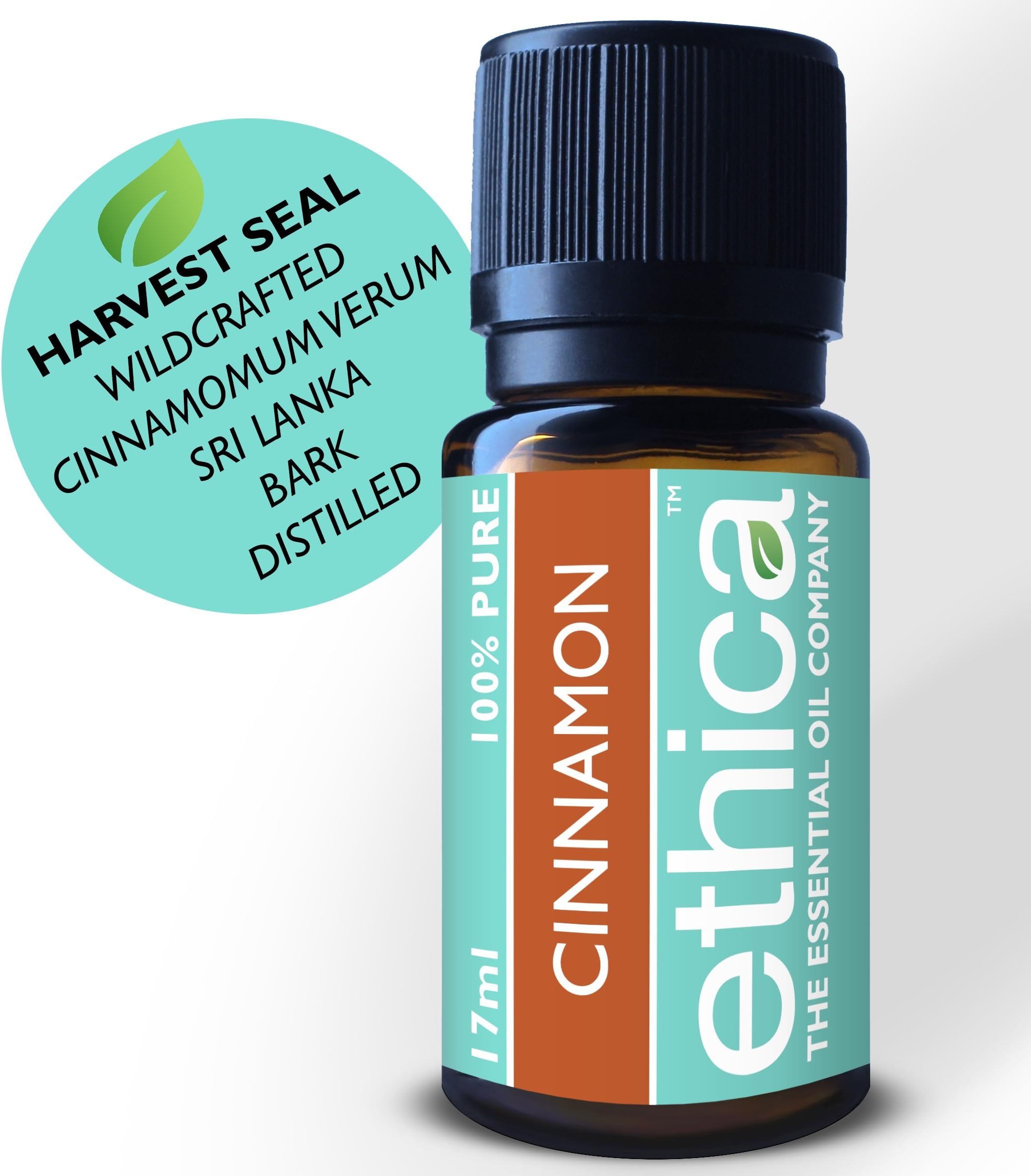 Cinnamon Bark Essential Oil | 17ML, Wildcrafted, Sri Lanka, Single-Origin, 100% Authentic Cinnamomum Verum