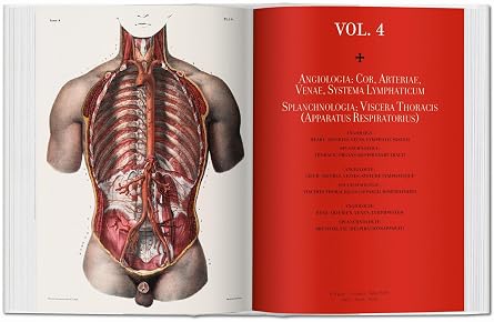 Jean Marc Bourgery. Atlas of Human Anatomy and Surgery (Bibliotheca Universalis)