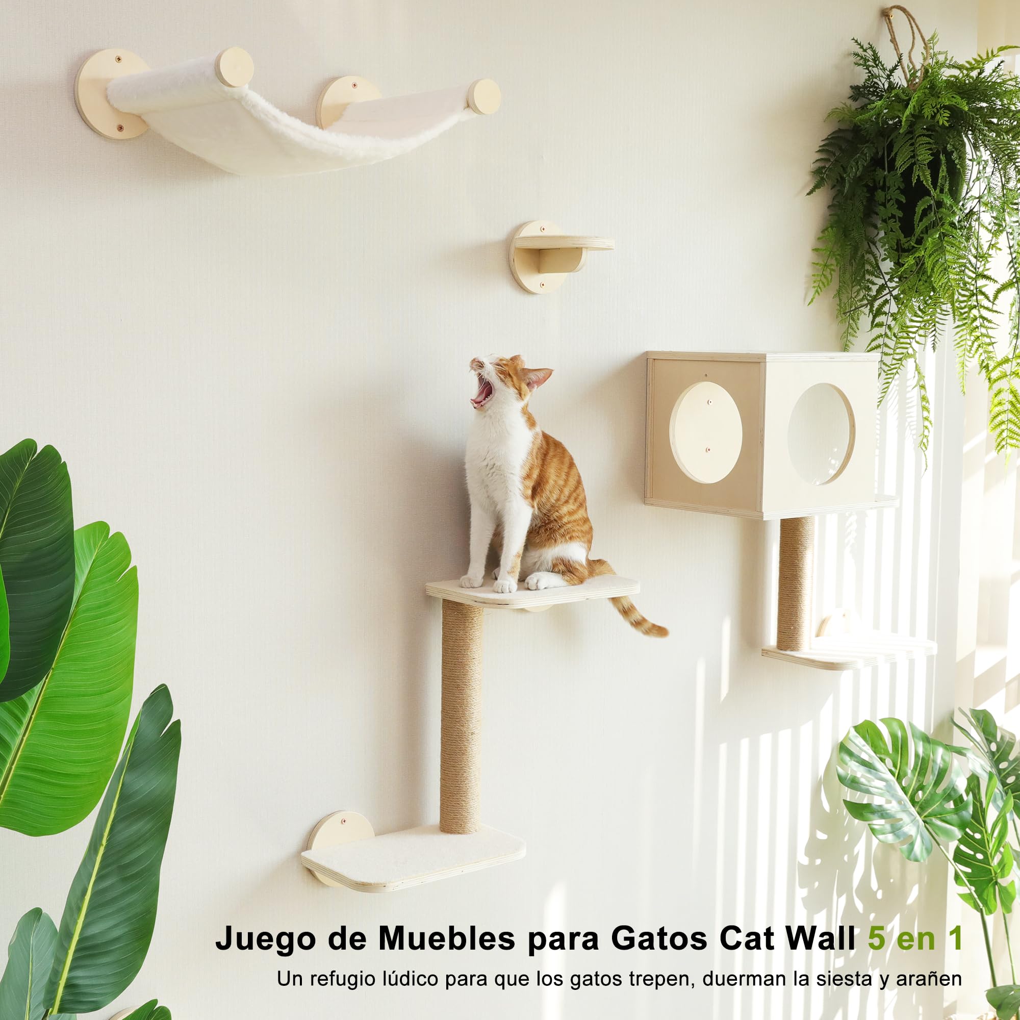 FUKUMARU Estantes de pared para gatos, juego de muebles de pared de madera estable, 5 piezas, escalador de gatitos con hamaca, casa, escalones, poste rascador, beige