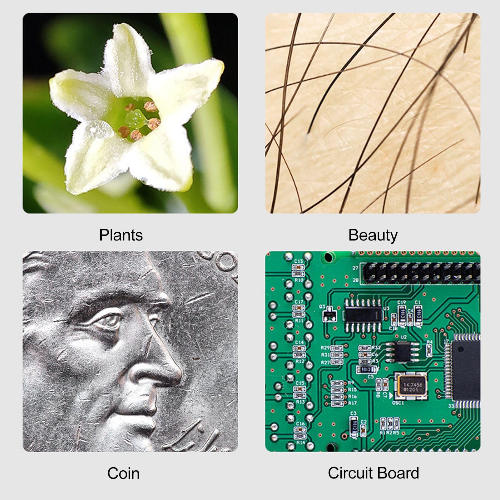 Microscopio Digital para Niños, Microscopio de Bolsillo Portátil 50-1000X 8 Luces LED, Enfoque Manual, Conexión USB WiFi, para Experimentos Científicos, Observación de Plantas,
