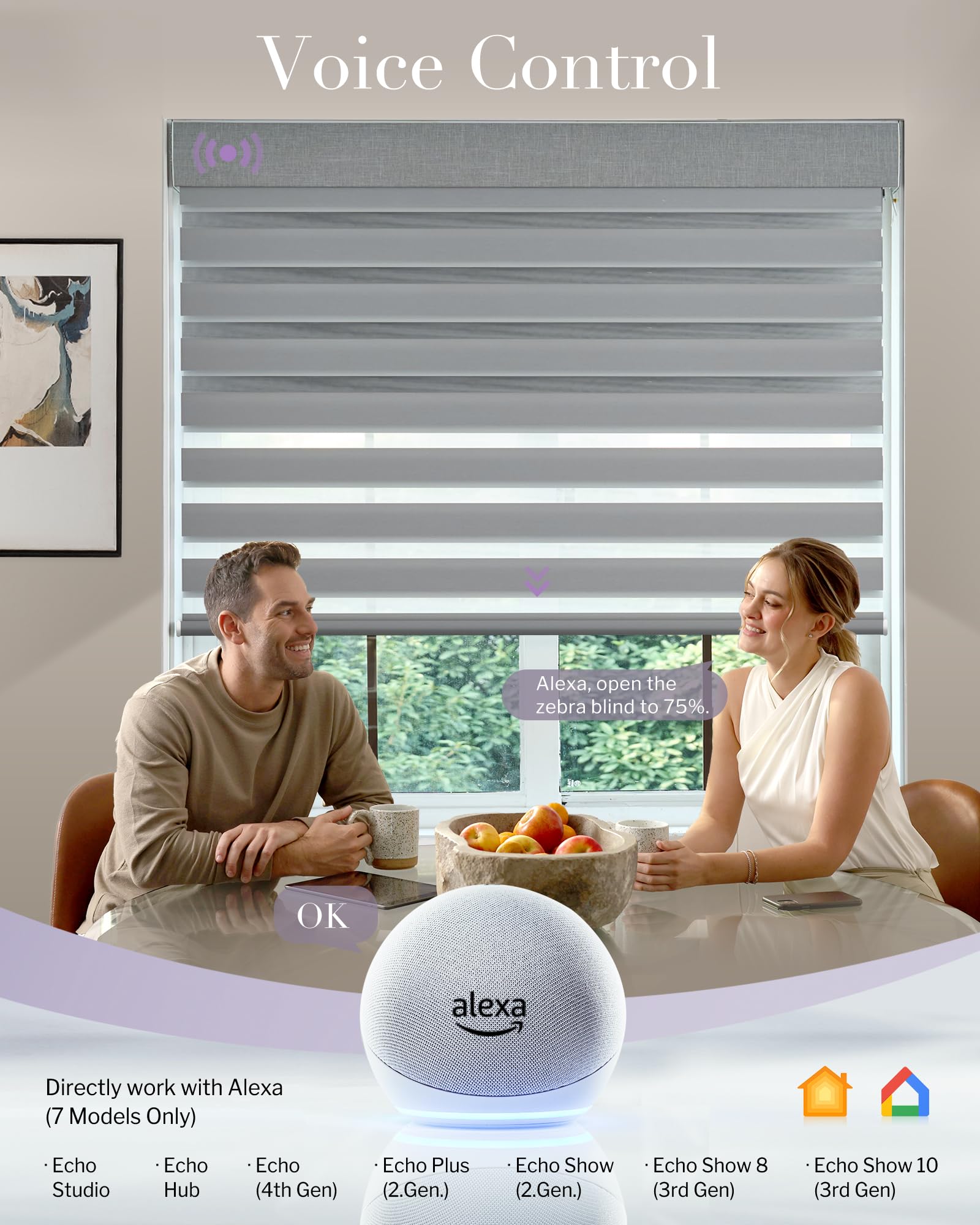 Amazon.com: Graywind Smart Dual Shades Compatible with Alexa