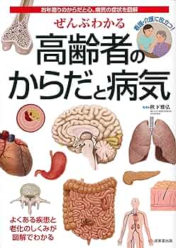 からだと病気の本 10冊セット からだと病気の本 10冊セット からだと病気の本 10冊セット