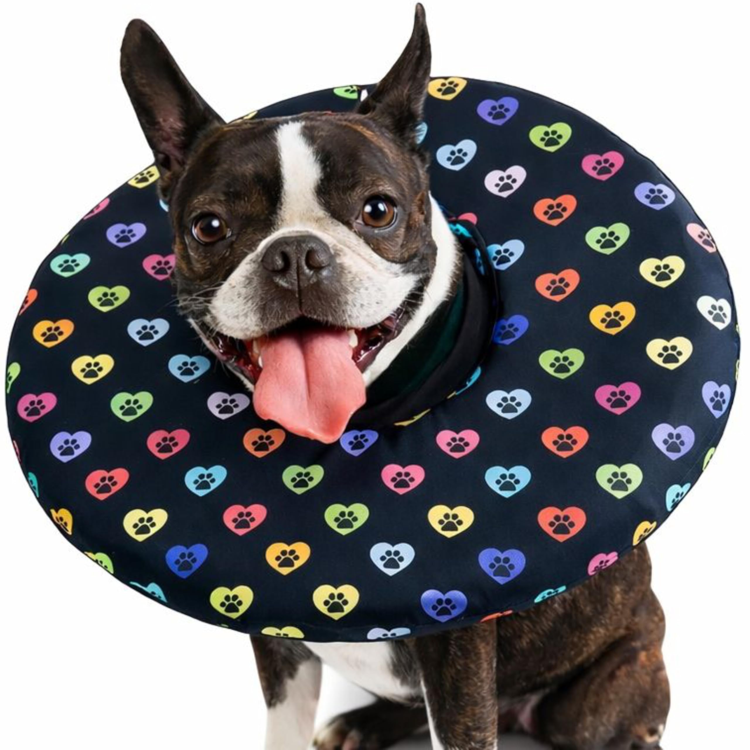 Premium Halskrause für Hunde – Weicher Hundetrichter als Alternative zum Plastikkragen, Komfortabler Schutzkragen/OP-Kragen für Hunde nach Operation (M)