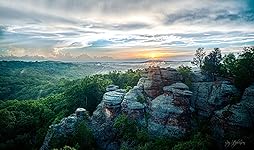 Review Image by Amazon Customer