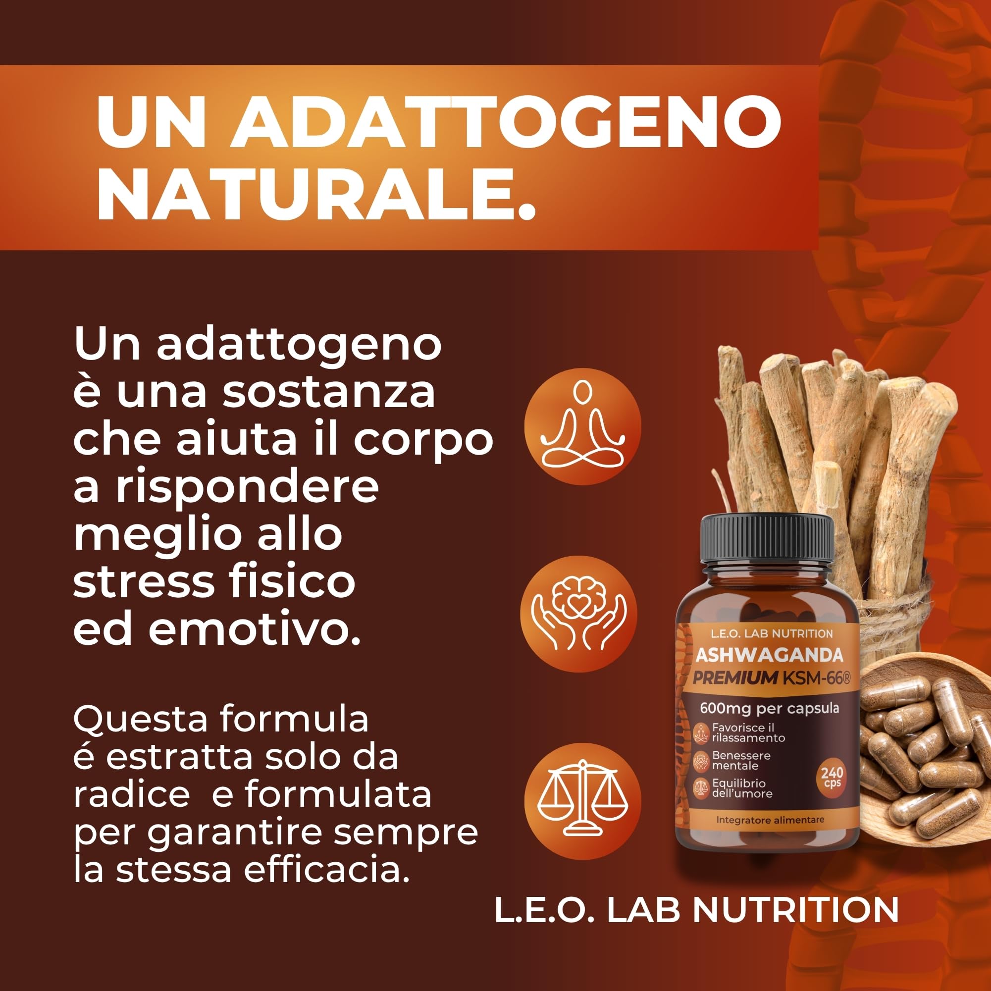 Ashwagandha KSM-66® 1200 mg Pura – 240 Capsule Vegane – Estratto da Radice ≥5% Witanolidi per Stress, Energia, Concentrazione e Benessere Psicofisico