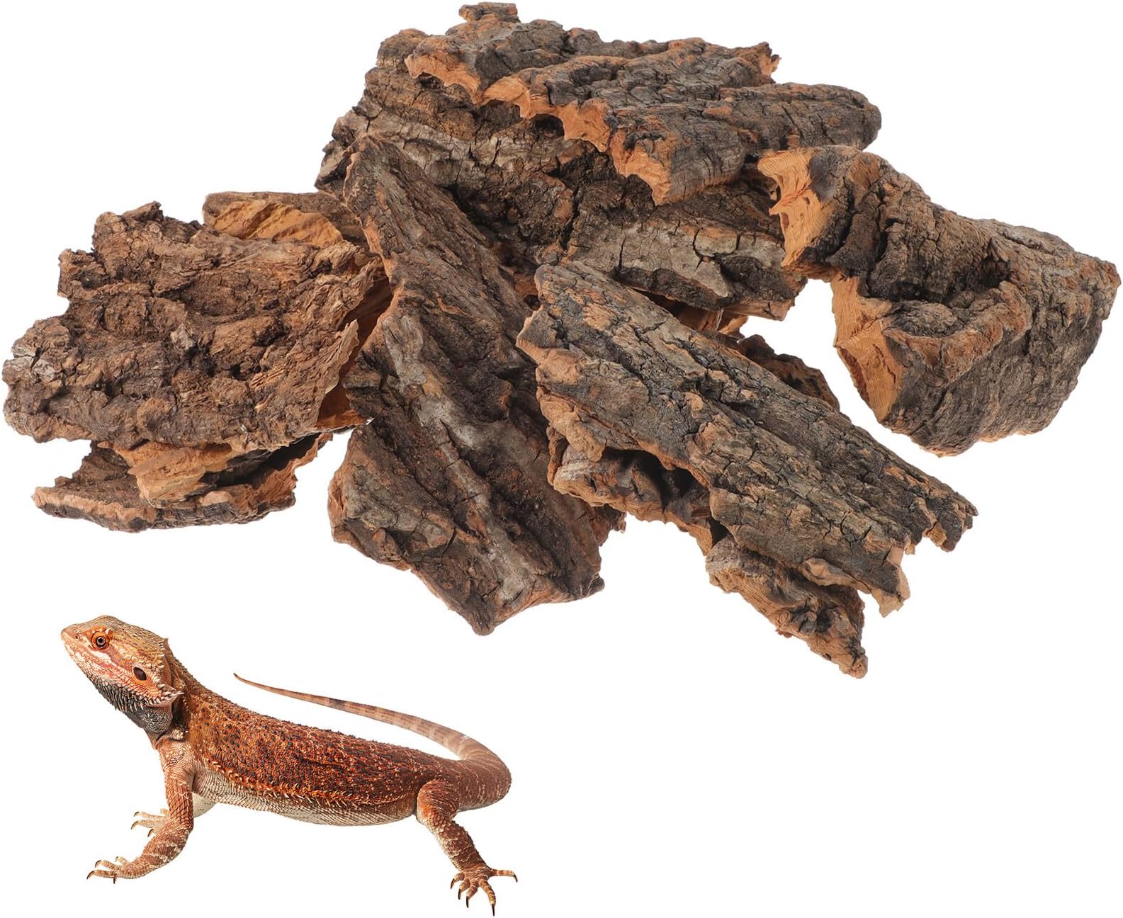 14pcs Reptile Climbing Bark Platform and Hiding Hut Set, Medium Natural Tree Bark Terrarium Decorations, Resting and Hiding Spots for Lizards, Turtles, and Snakes in Enclosures