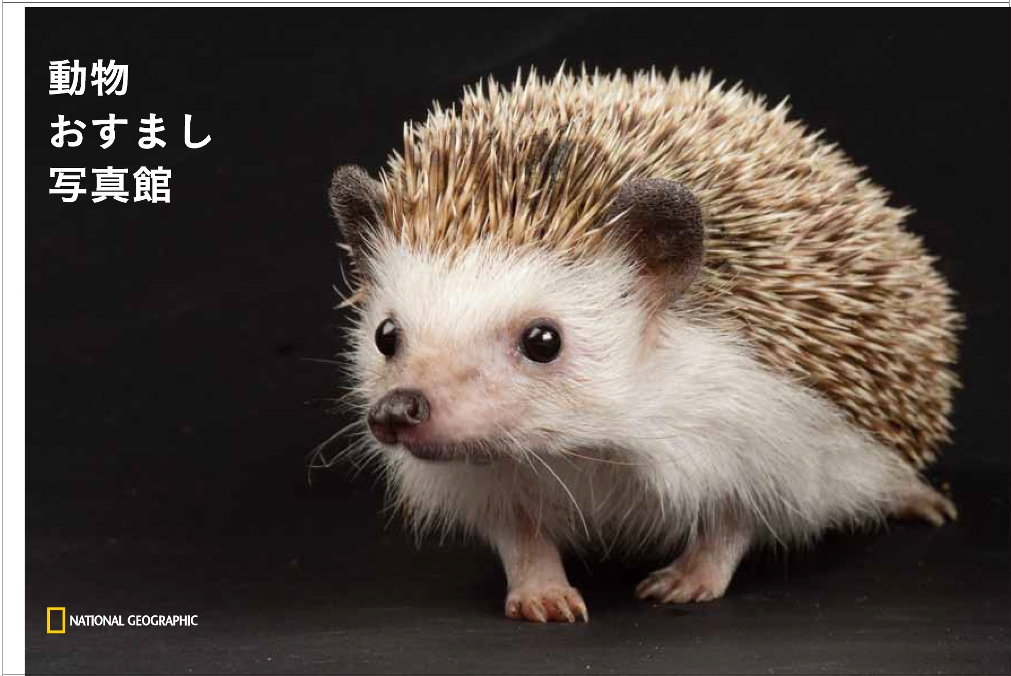 DoÌ„butsu osumashi shashinkan