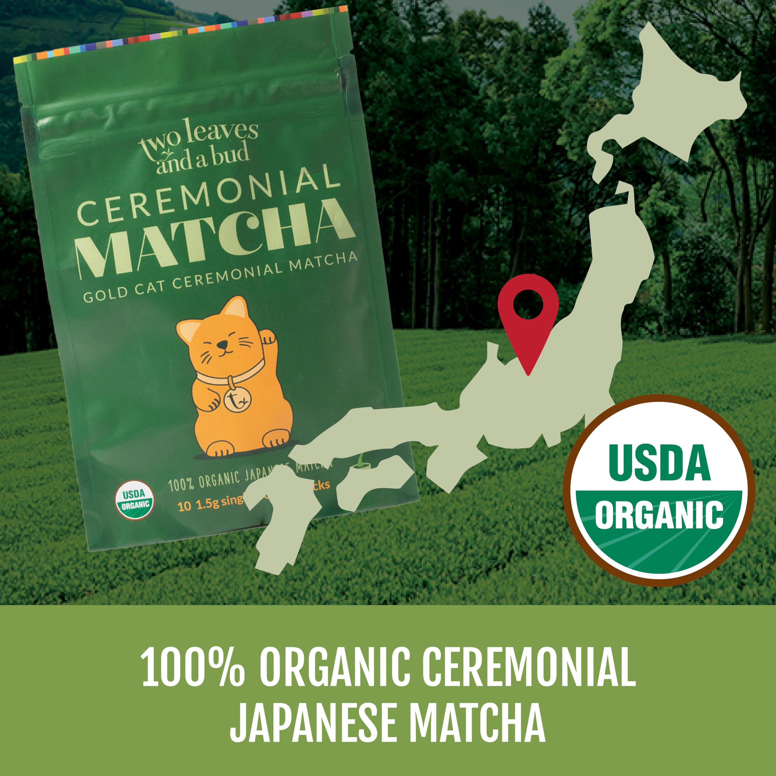 Two Leaves and a Bud Organic Ceremonial Matcha Green Tea 100 Japanese Matcha powder 1 5g Pre-Portioned Single-Serve — view 3