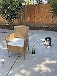 Review Image by Amazon Customer