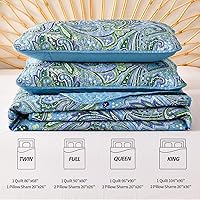 Vista 113 de DJY Juego de edredón de cachemira marrón, tamaño Queen, juego de colcha bohemia de 3 piezas, ropa de cama de microfibra suave y ligera con estampado