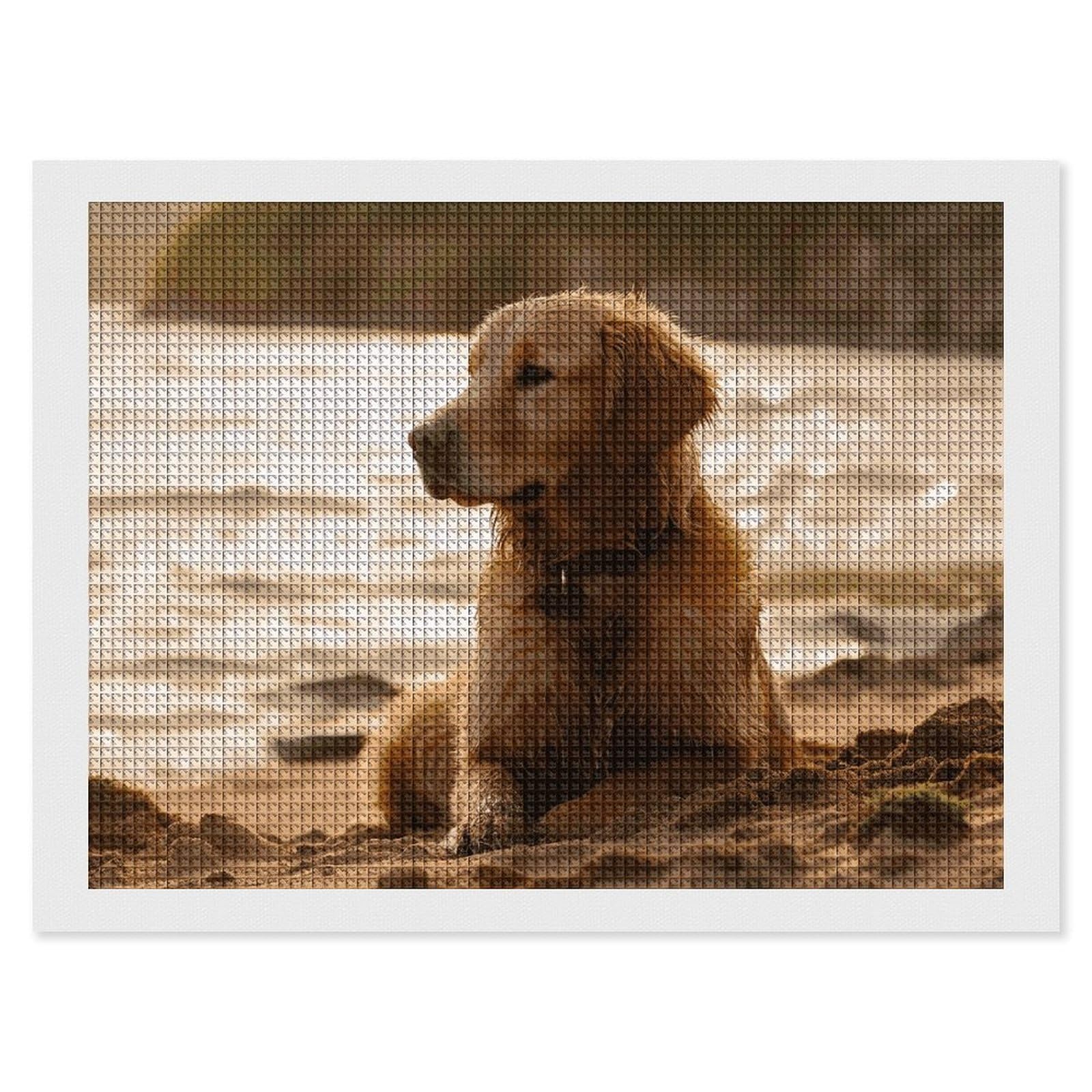 NONHAI Diamond Painting Kits for Adults - DIY Diamond Art Kits for Beginners - Full 5D Paint Drill Diamond Dots Paintings- Retriever Diamonds Pictures Gem Art and Craft Wall Decor 12"x16"