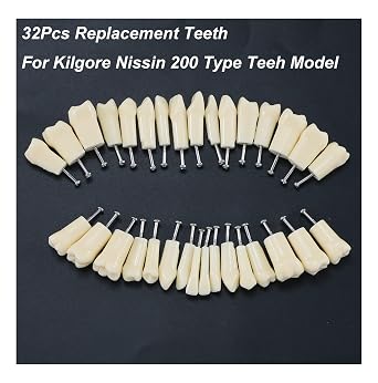 Kilgore Nissin 200 Type Dental 32Pcs Removable Standard Practice Screw-in Replacement Teeth Model M8025 for Study Teach