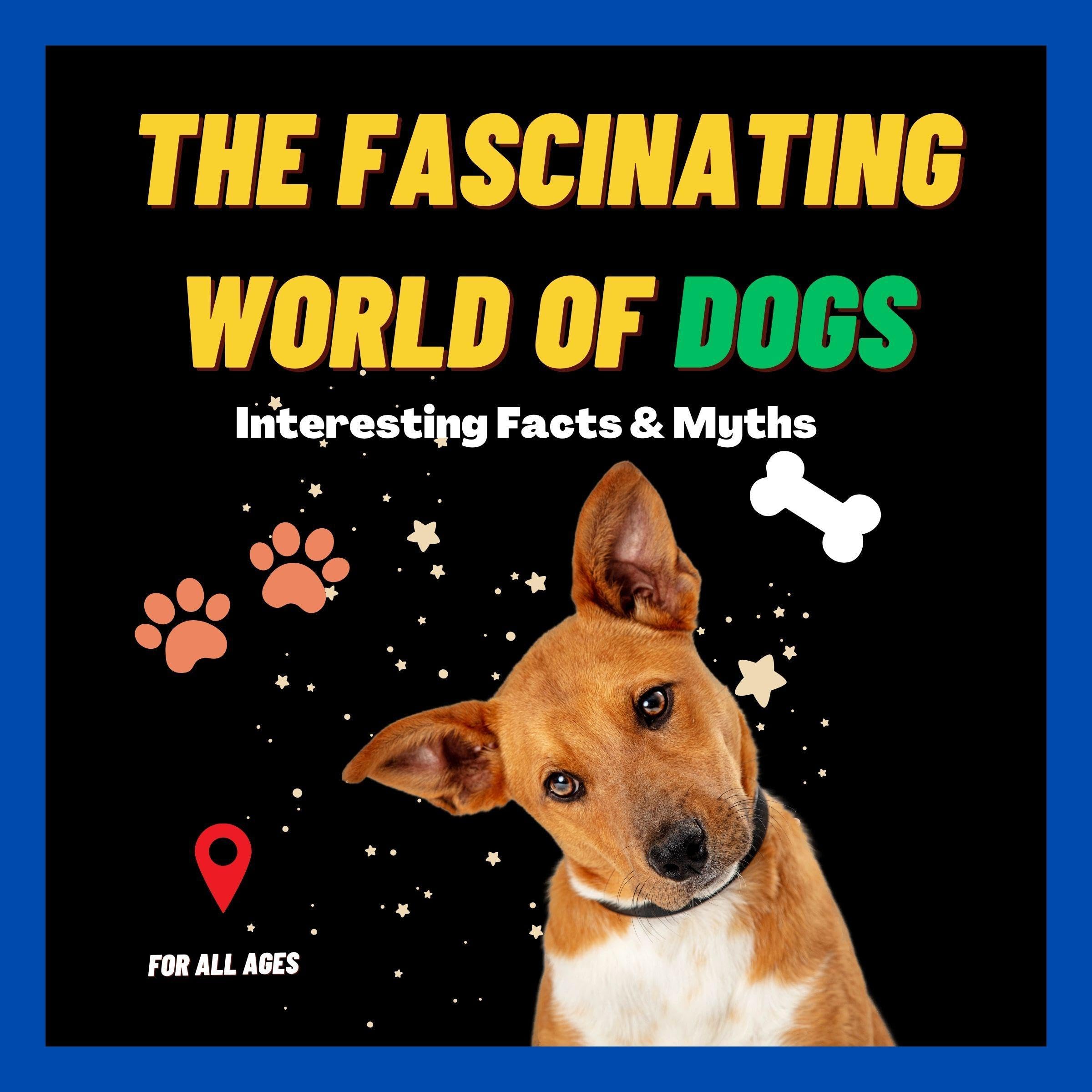 The Fascinating World of Dogs