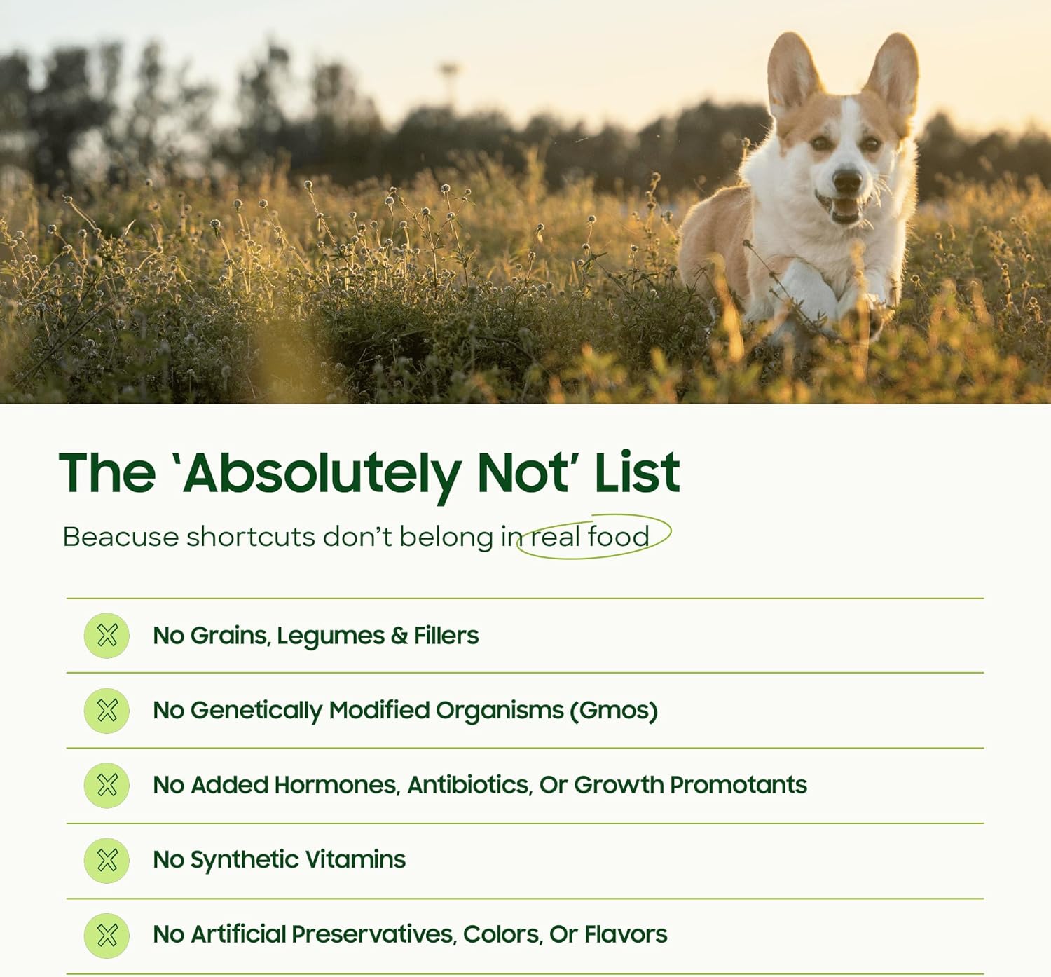 smallbatch Pets Freeze Dried Raw Dog Food, Duck Recipe, 14 oz, Organic High Protein Dog Food, Grain Free, Made in the USA, Humanely Raised Meat, Single Protein, for Picky Eaters, Hydrate & Serve