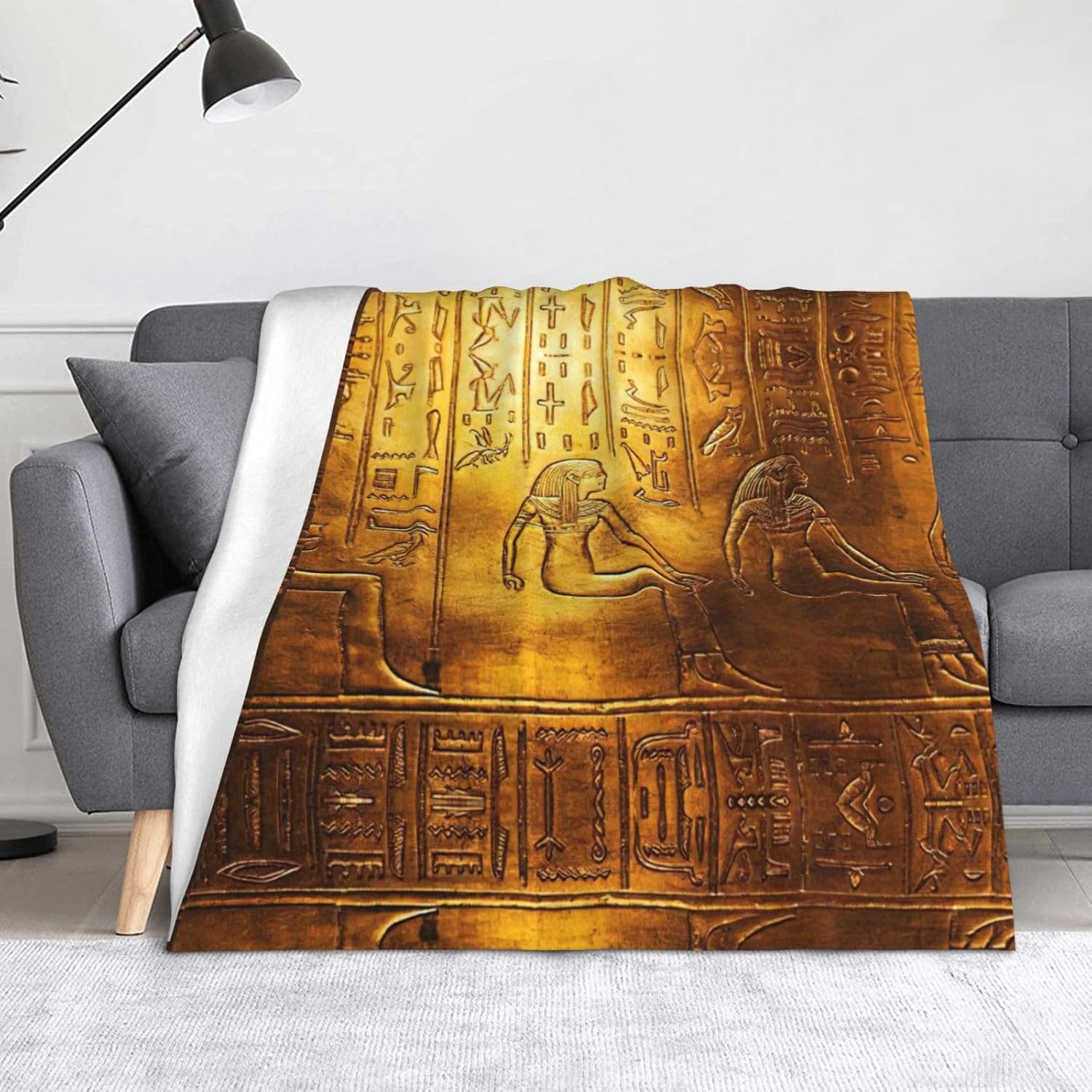 Egypt Hieroglyphics Print Cozy Soft Blankets Warm 50x60 in Lightweight Blanket for Camping Travel